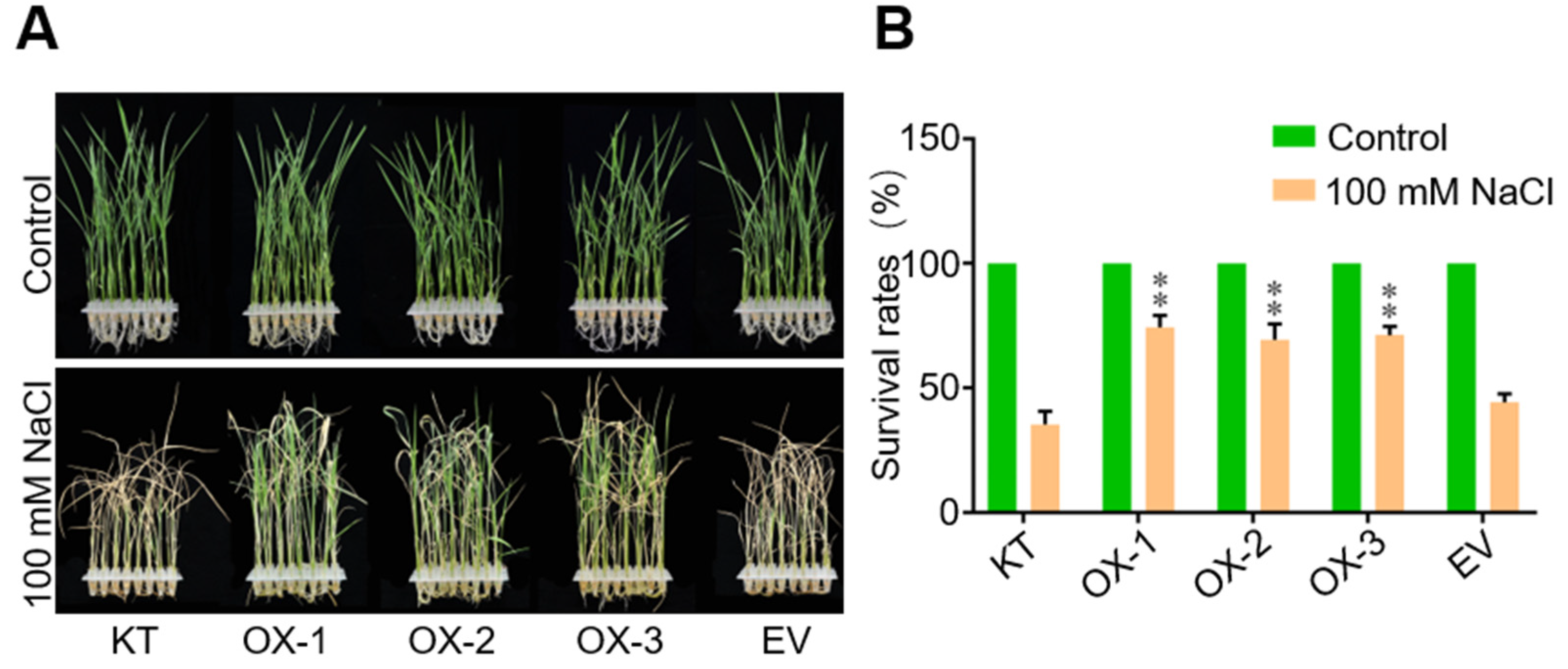Ijms 22 08625 g003 550