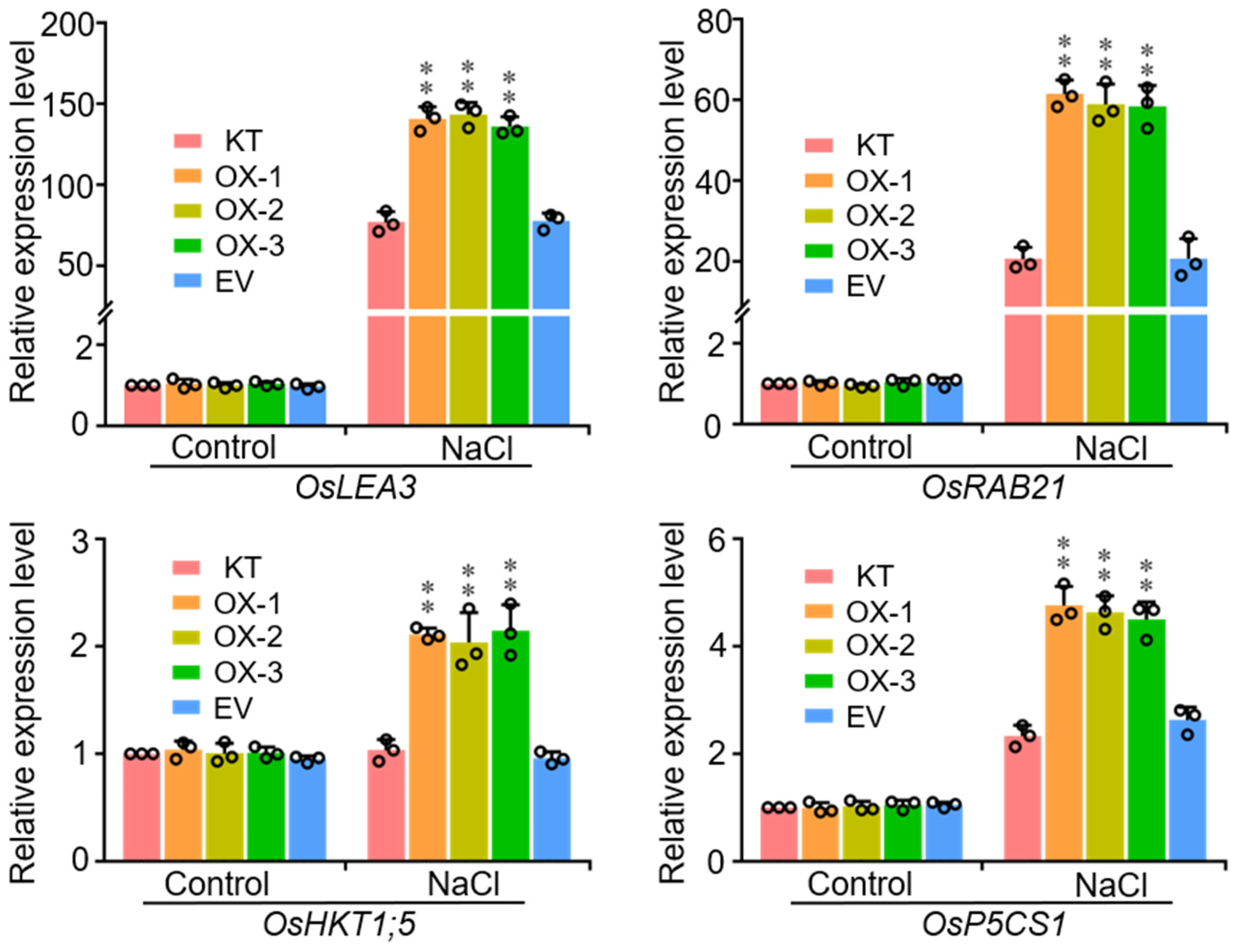 Ijms 22 08625 g004 550