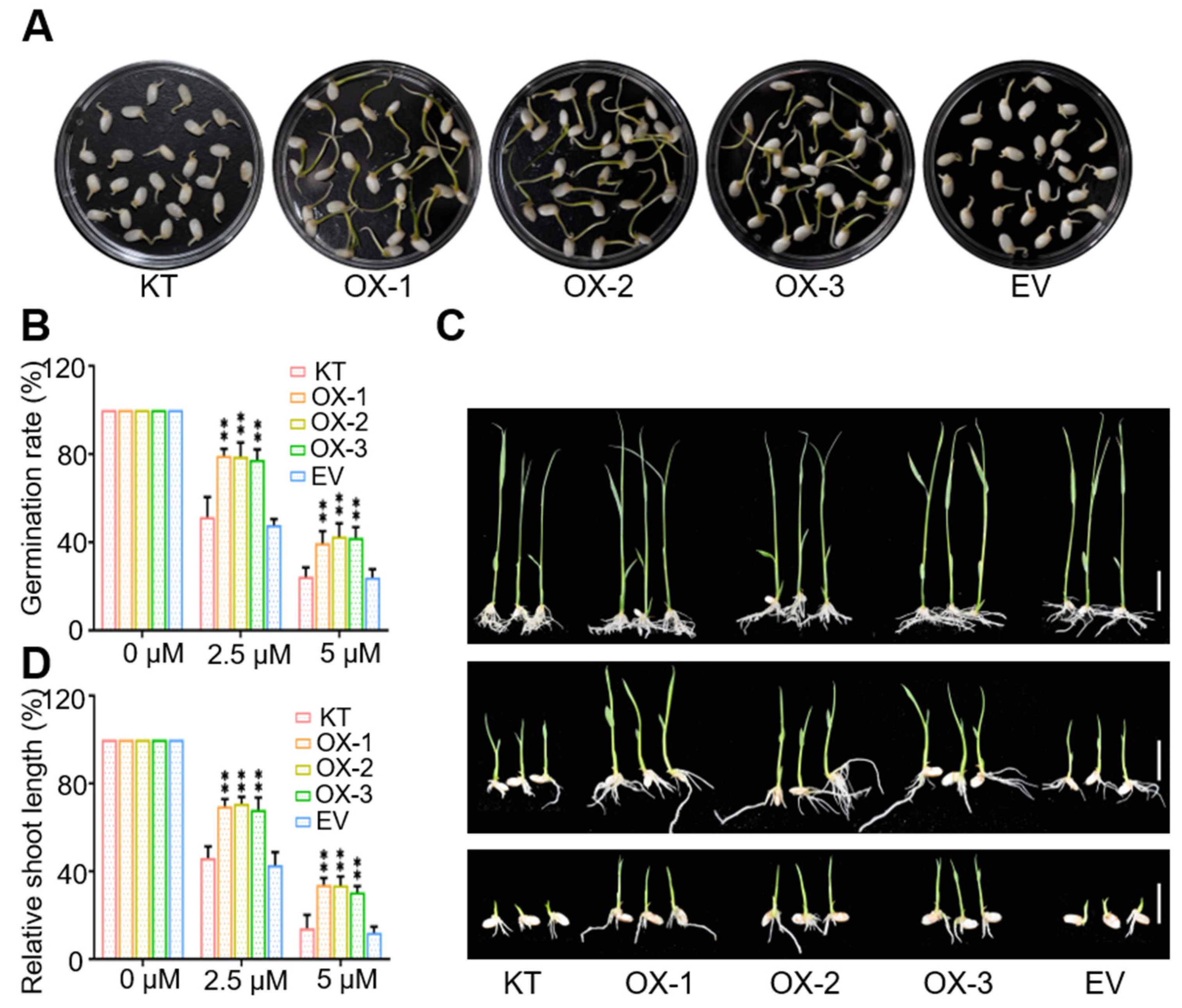 Ijms 22 08625 g005 550