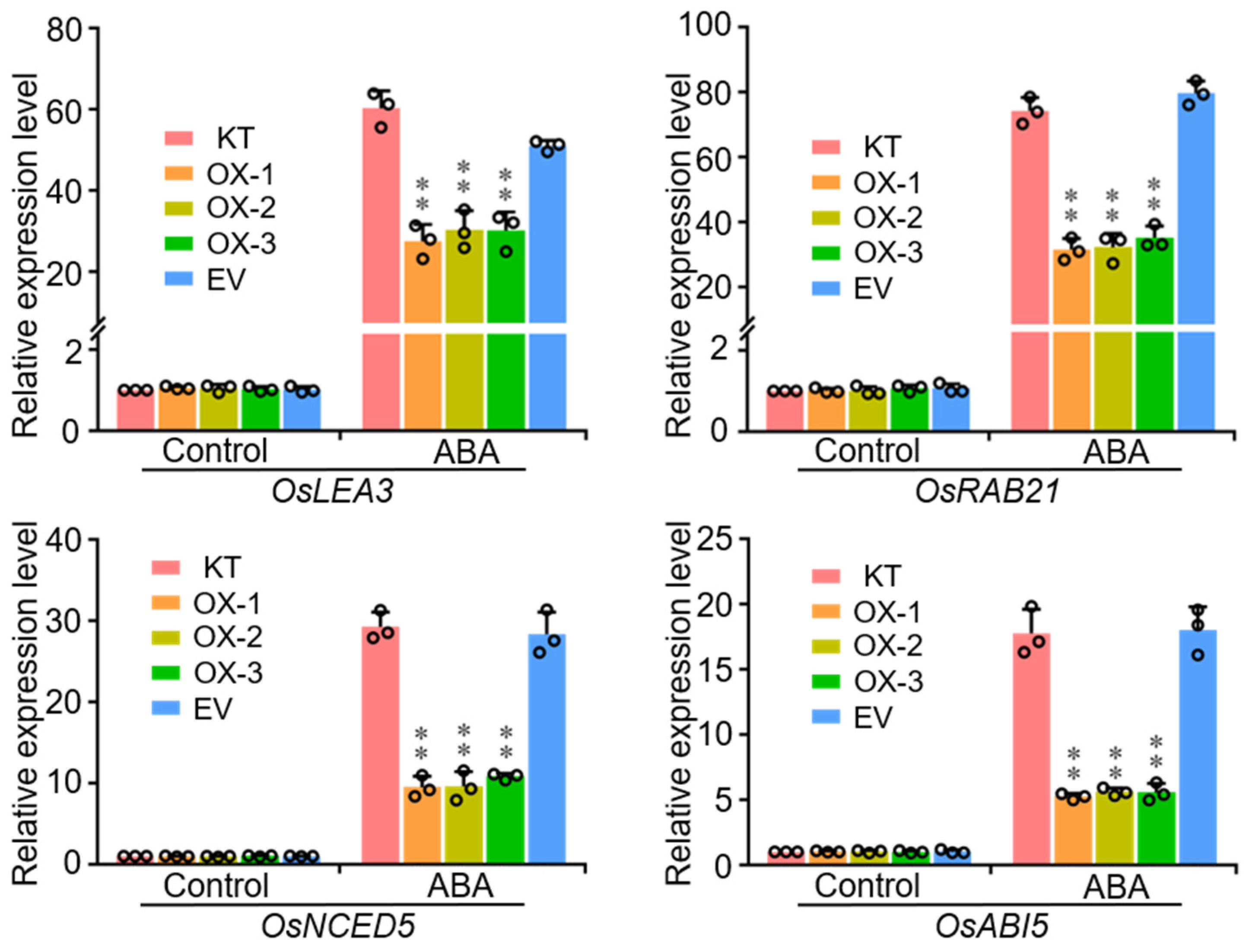 Ijms 22 08625 g006 550