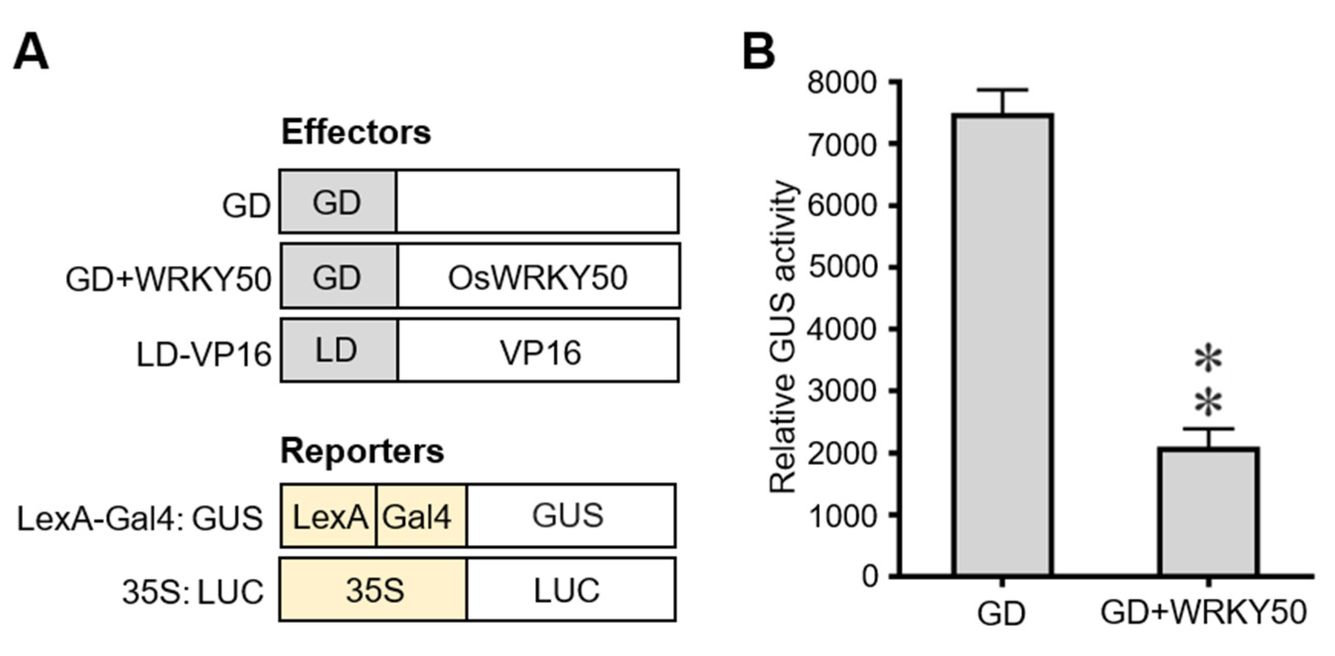Ijms 22 08625 g007 550