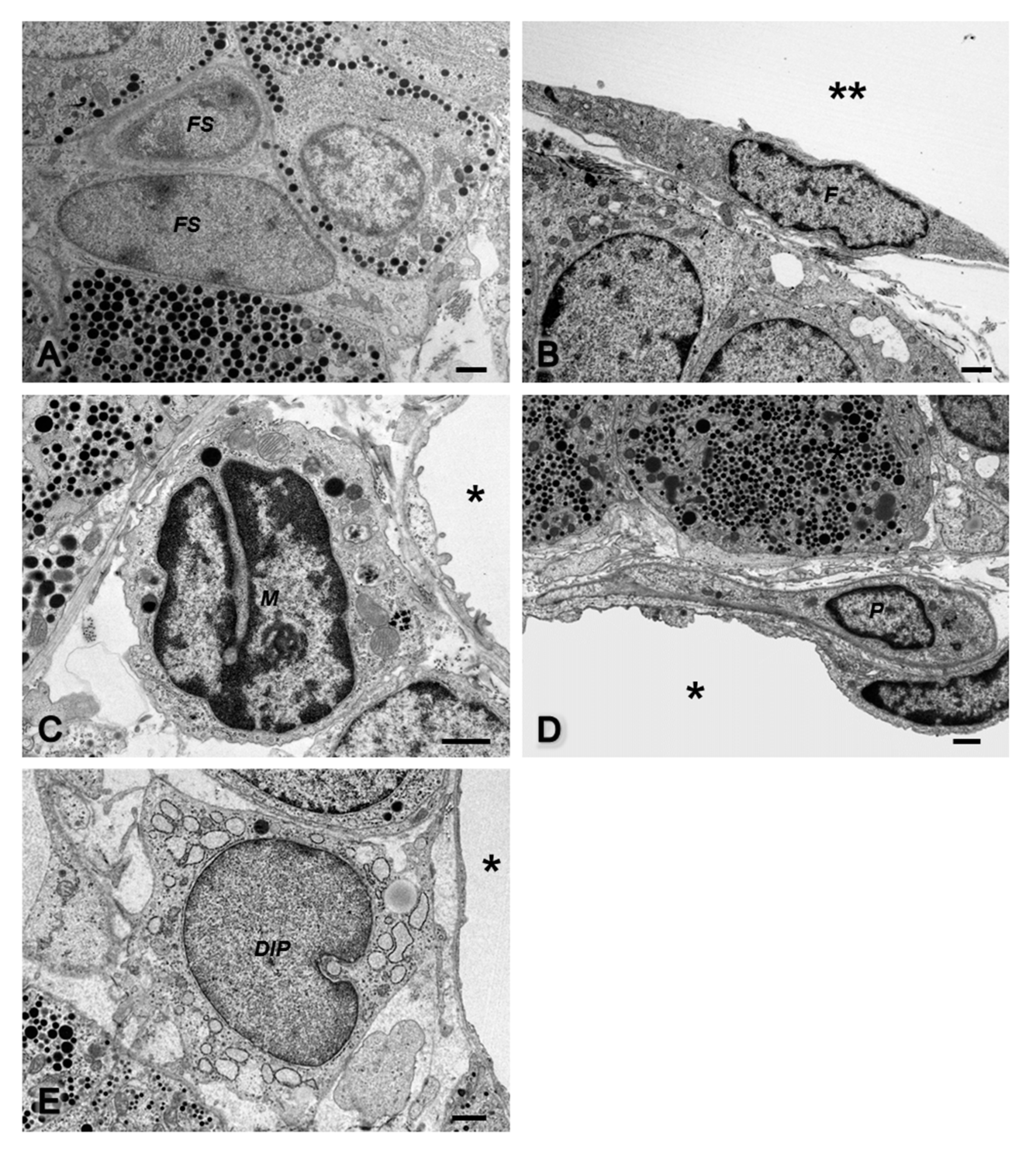 Ijms 22 08630 g003 550