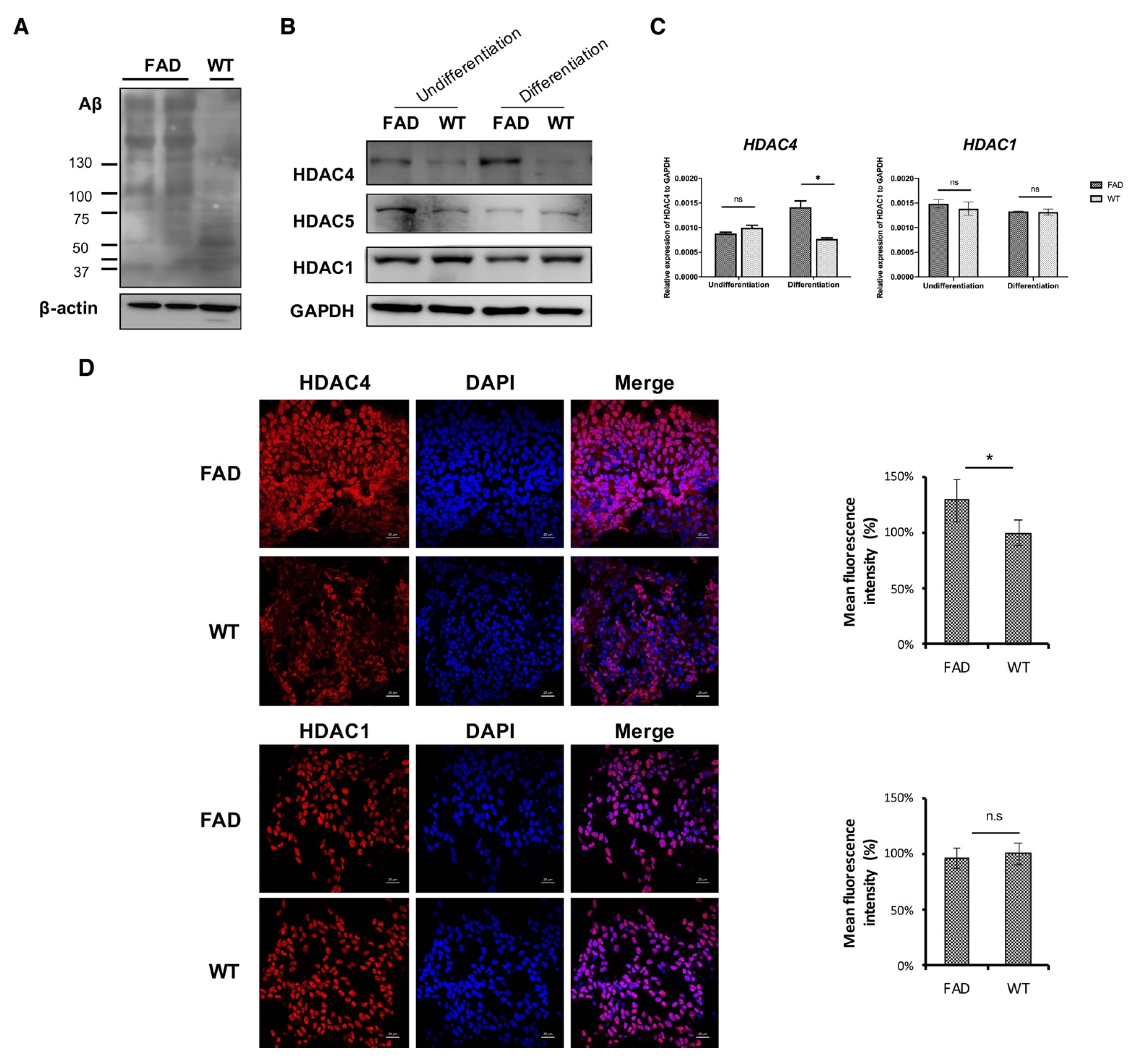 Ijms 22 08633 g002 550
