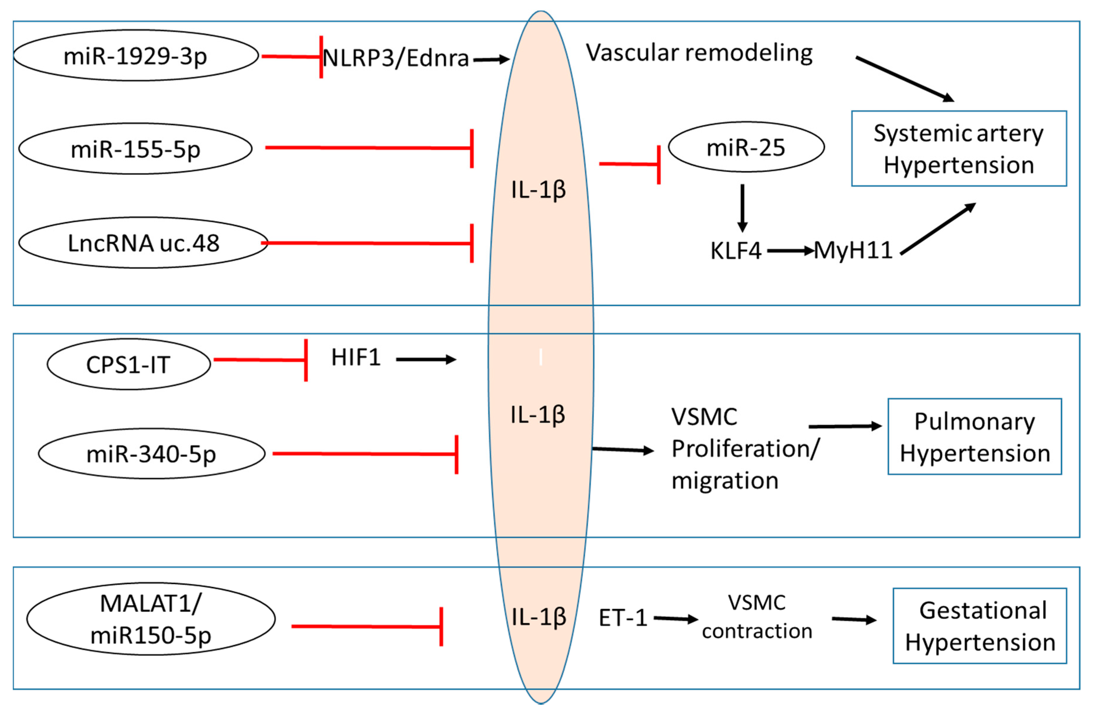 Ijms 22 08639 g001 550