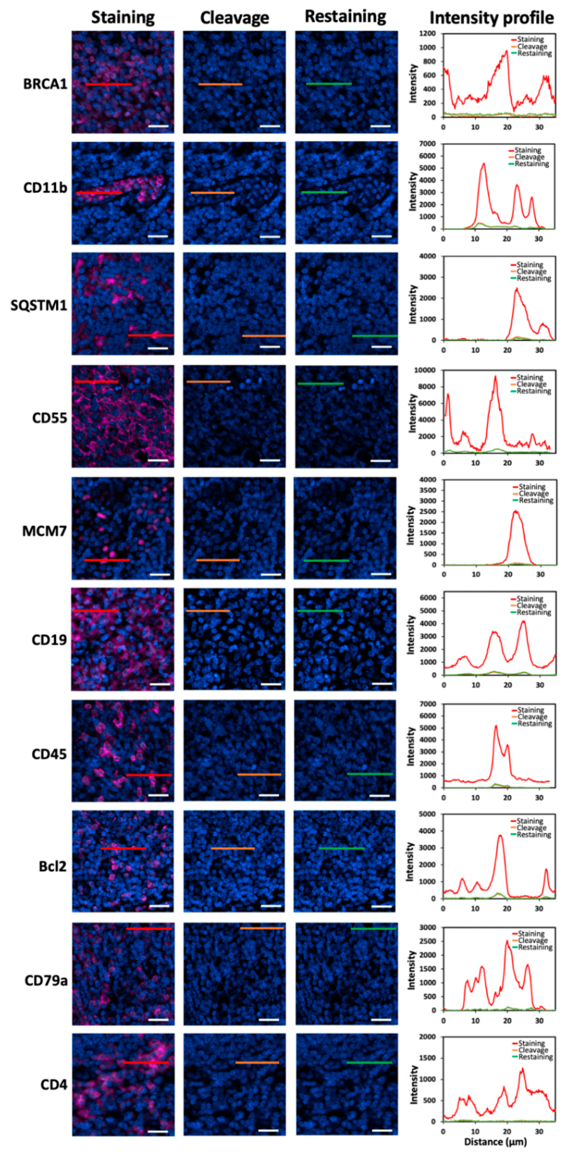 Ijms 22 08644 g002a 550
