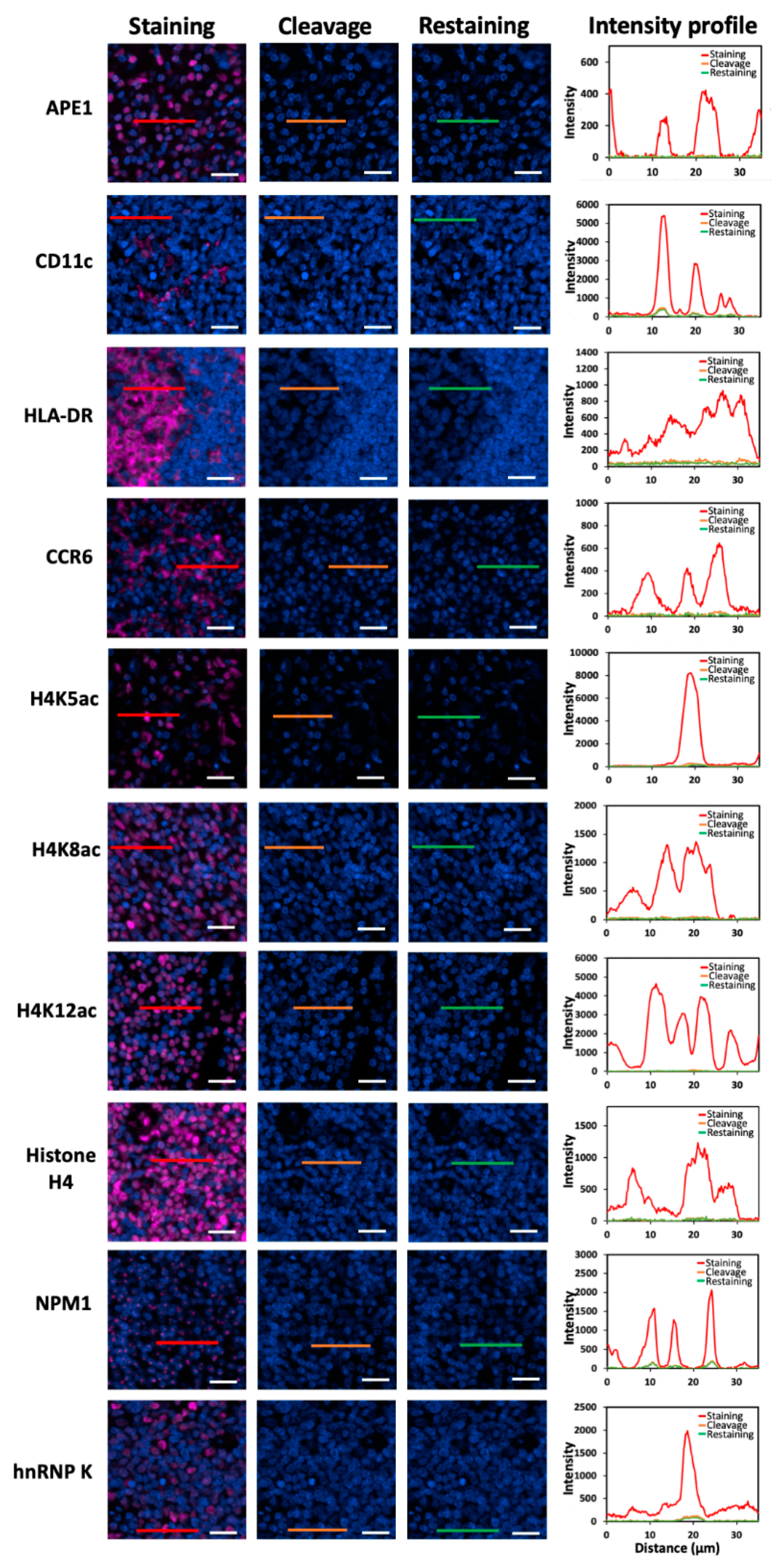 Ijms 22 08644 g002b 550