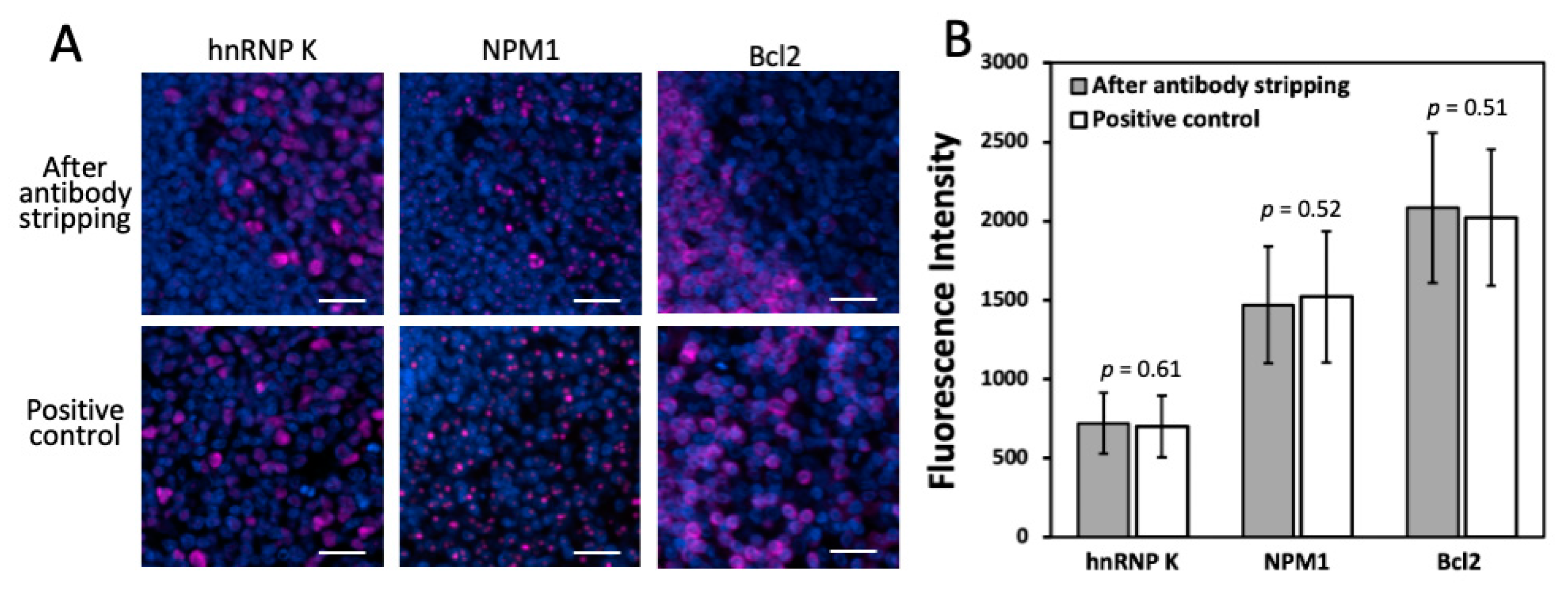 Ijms 22 08644 g003 550
