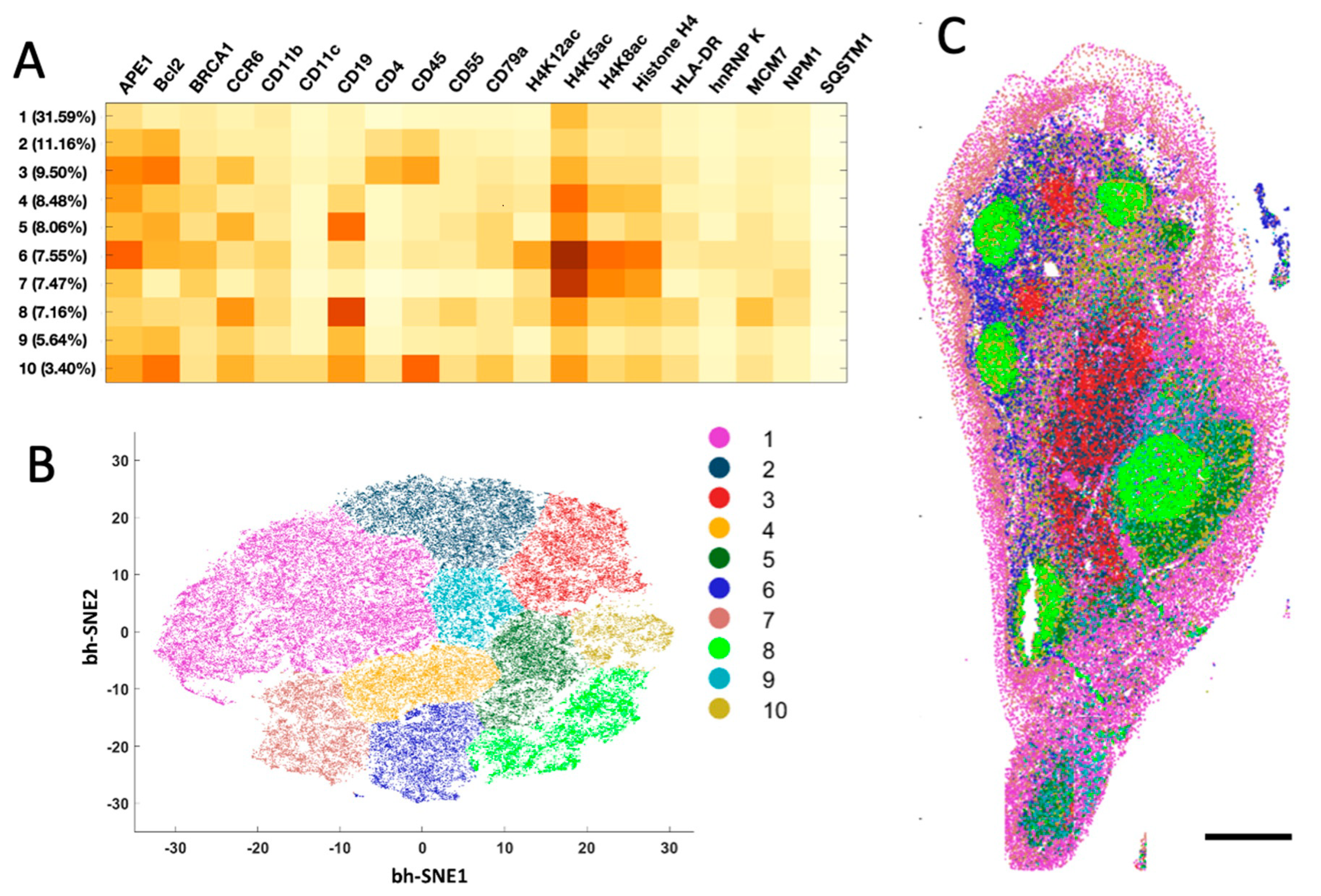 Ijms 22 08644 g005 550