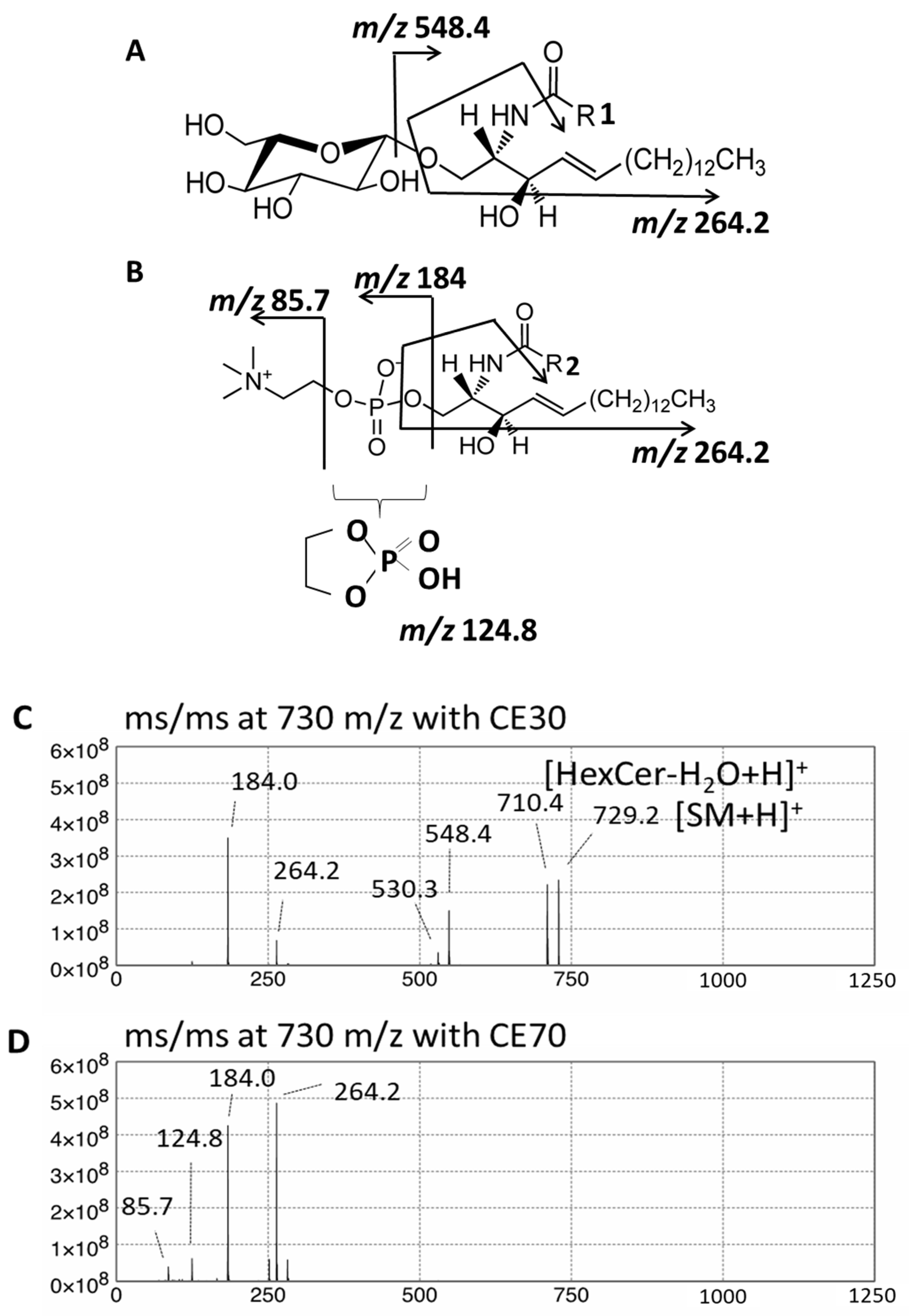 Ijms 22 08645 g009 550