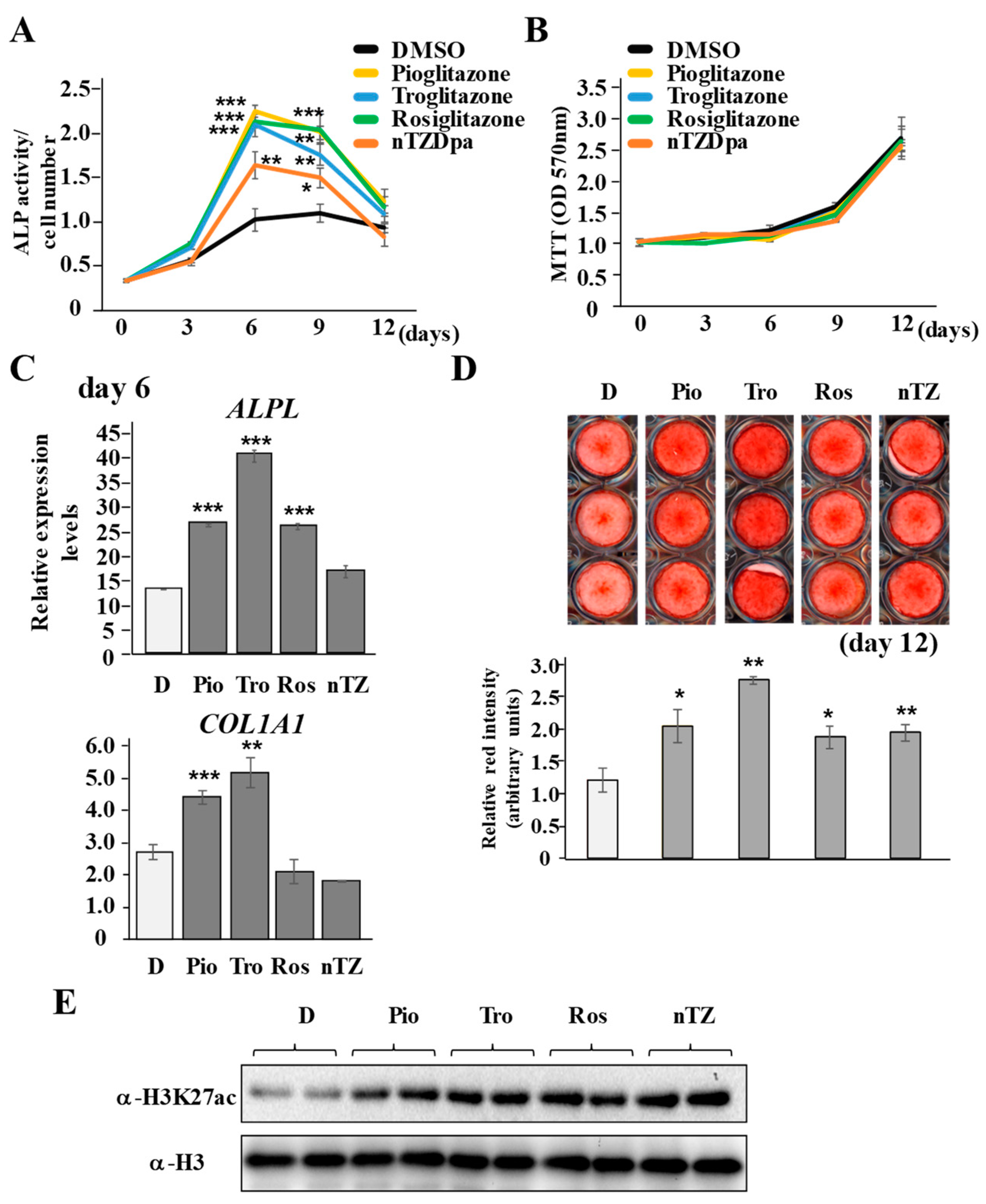 Ijms 22 08646 g002 Ijms 22 08646 g002