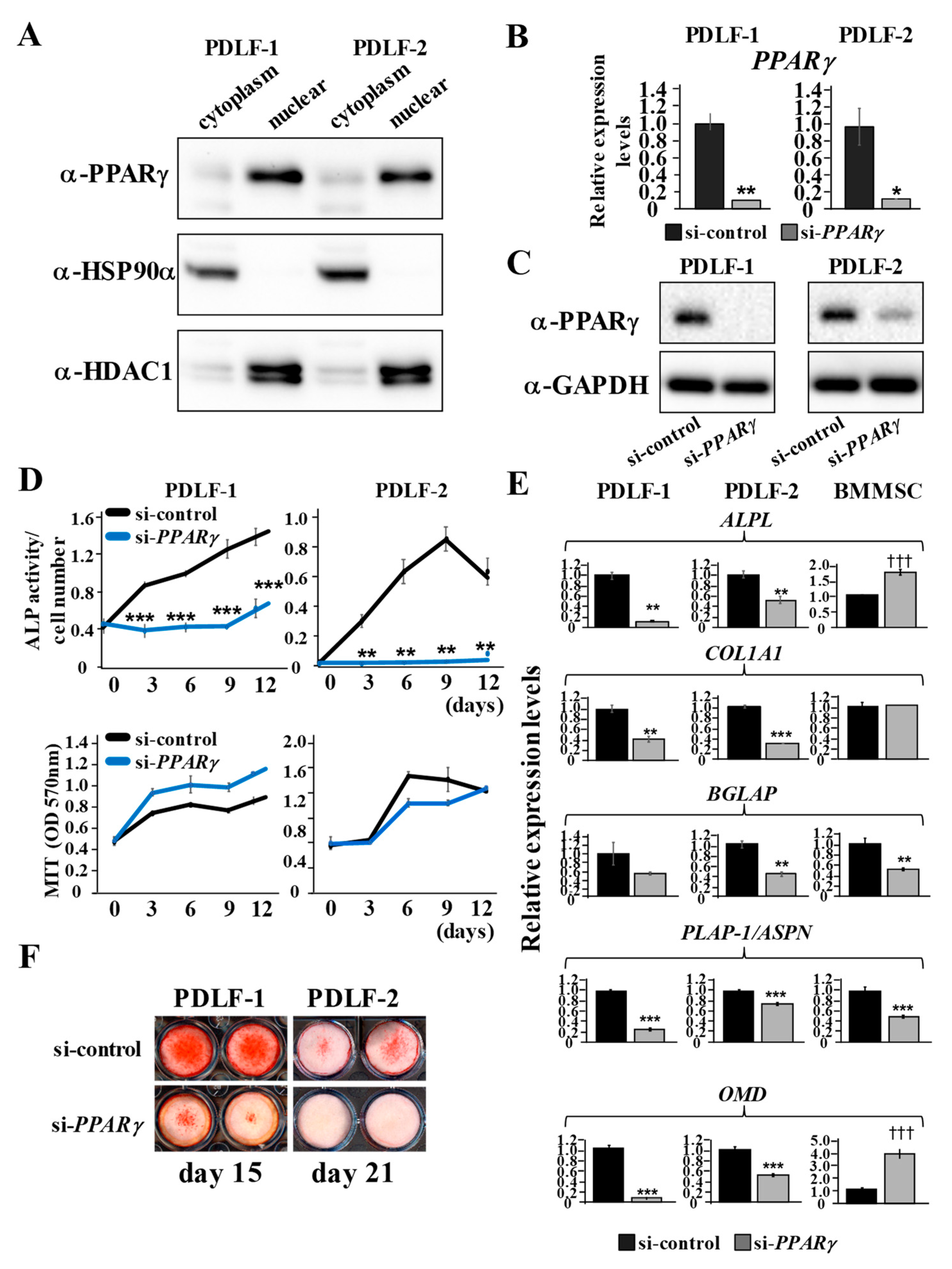 Ijms 22 08646 g003 Ijms 22 08646 g003