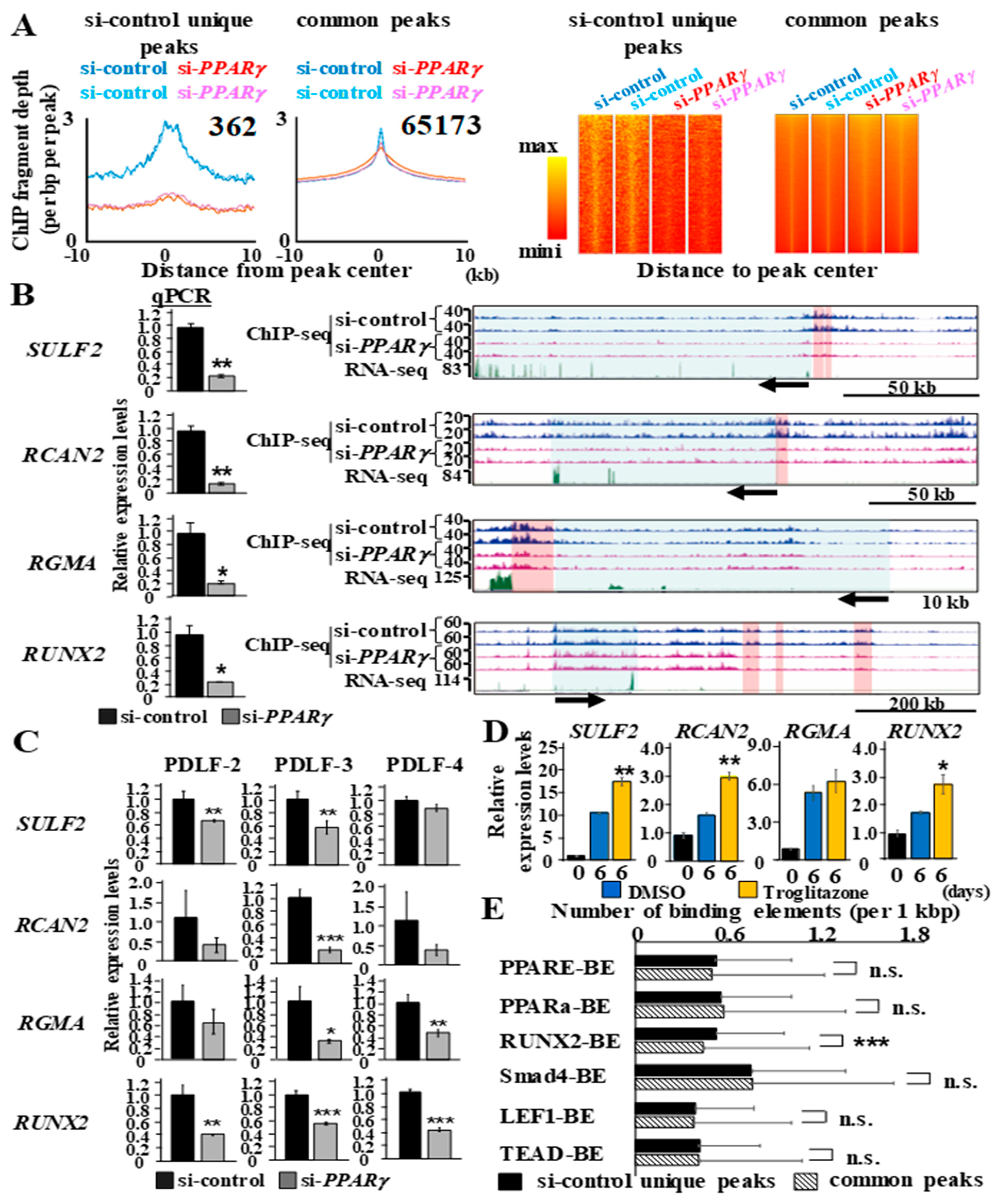 Ijms 22 08646 g006 Ijms 22 08646 g006