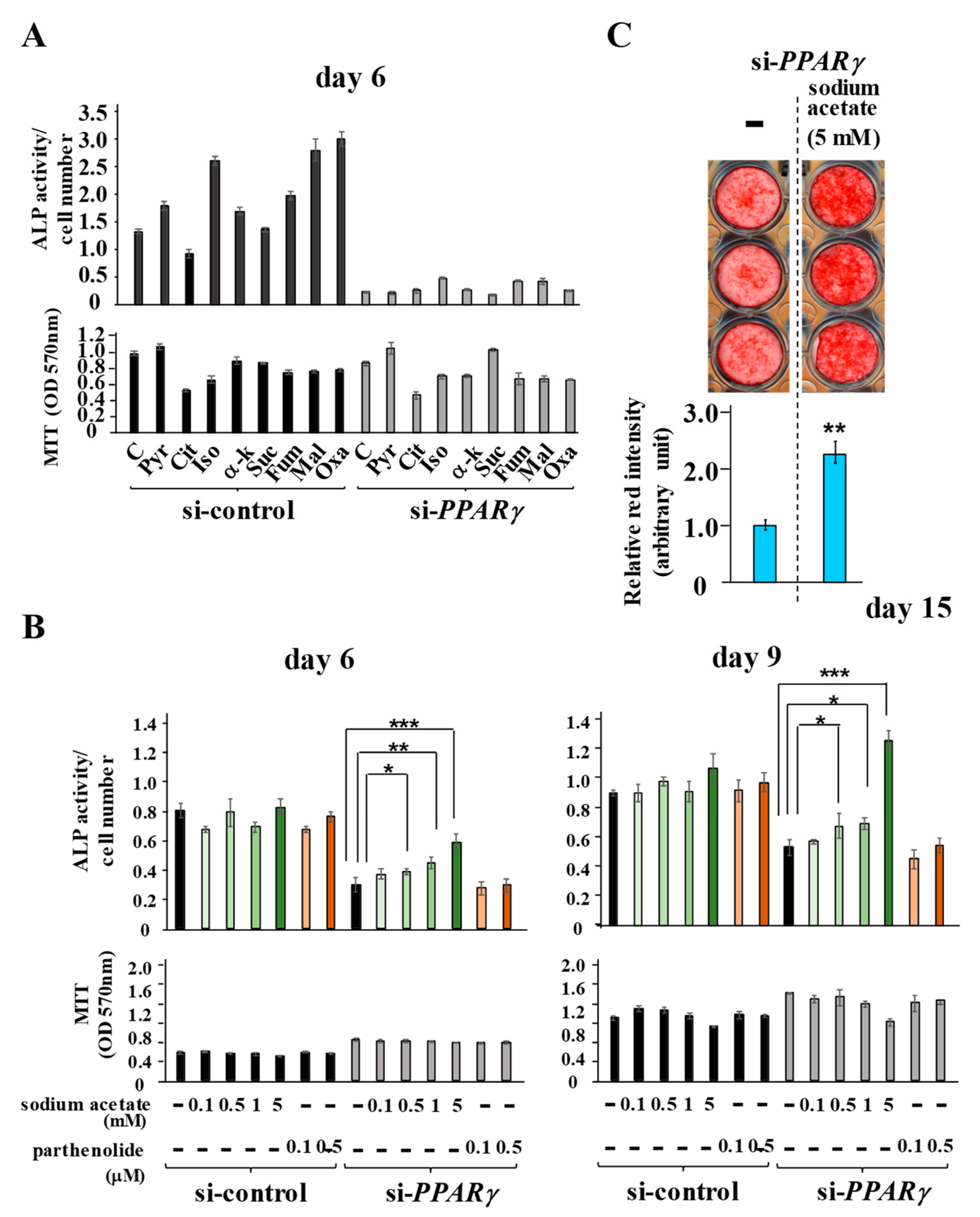 Ijms 22 08646 g007 Ijms 22 08646 g007