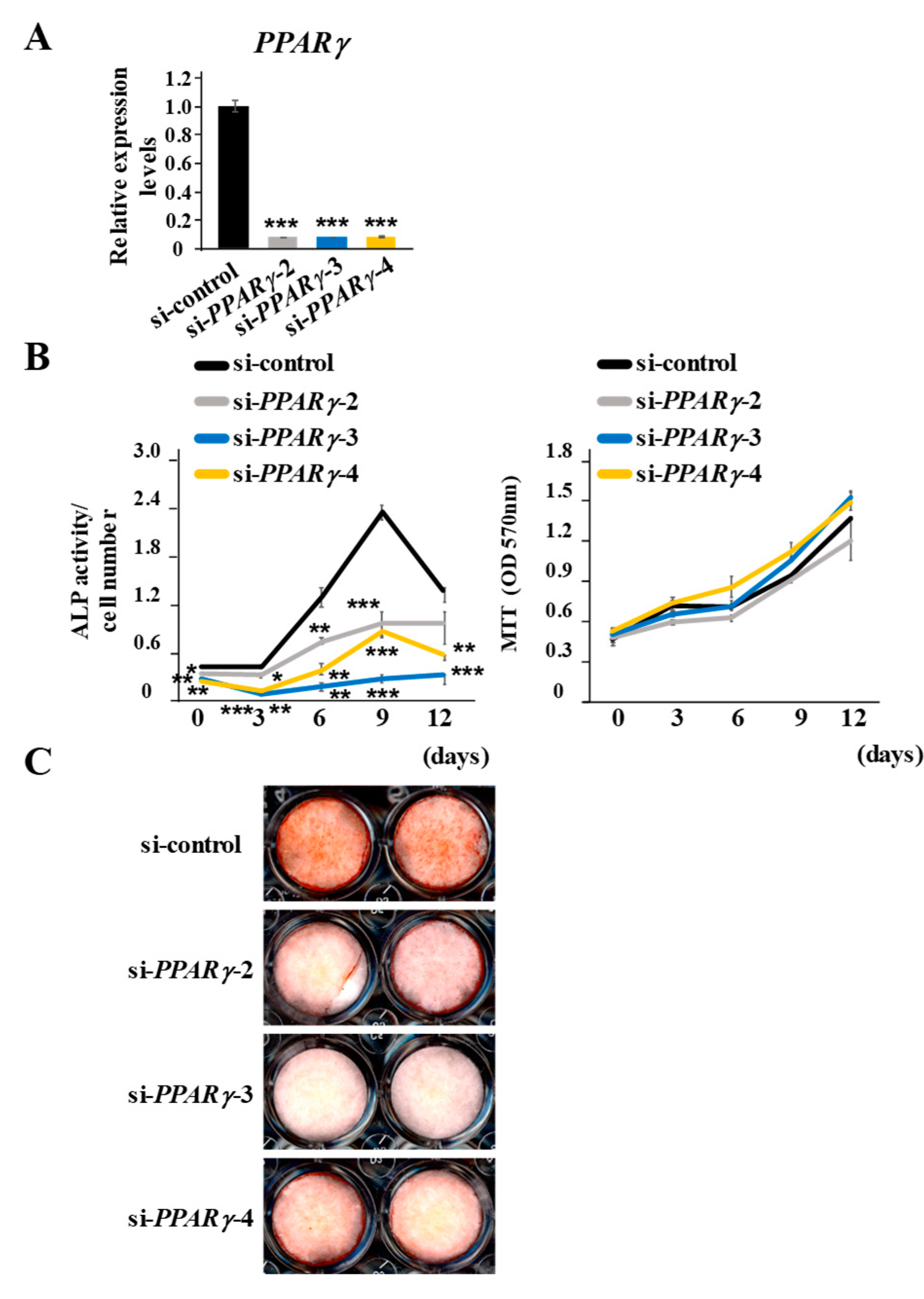 Ijms 22 08646 g0a1 Ijms 22 08646 g0a1
