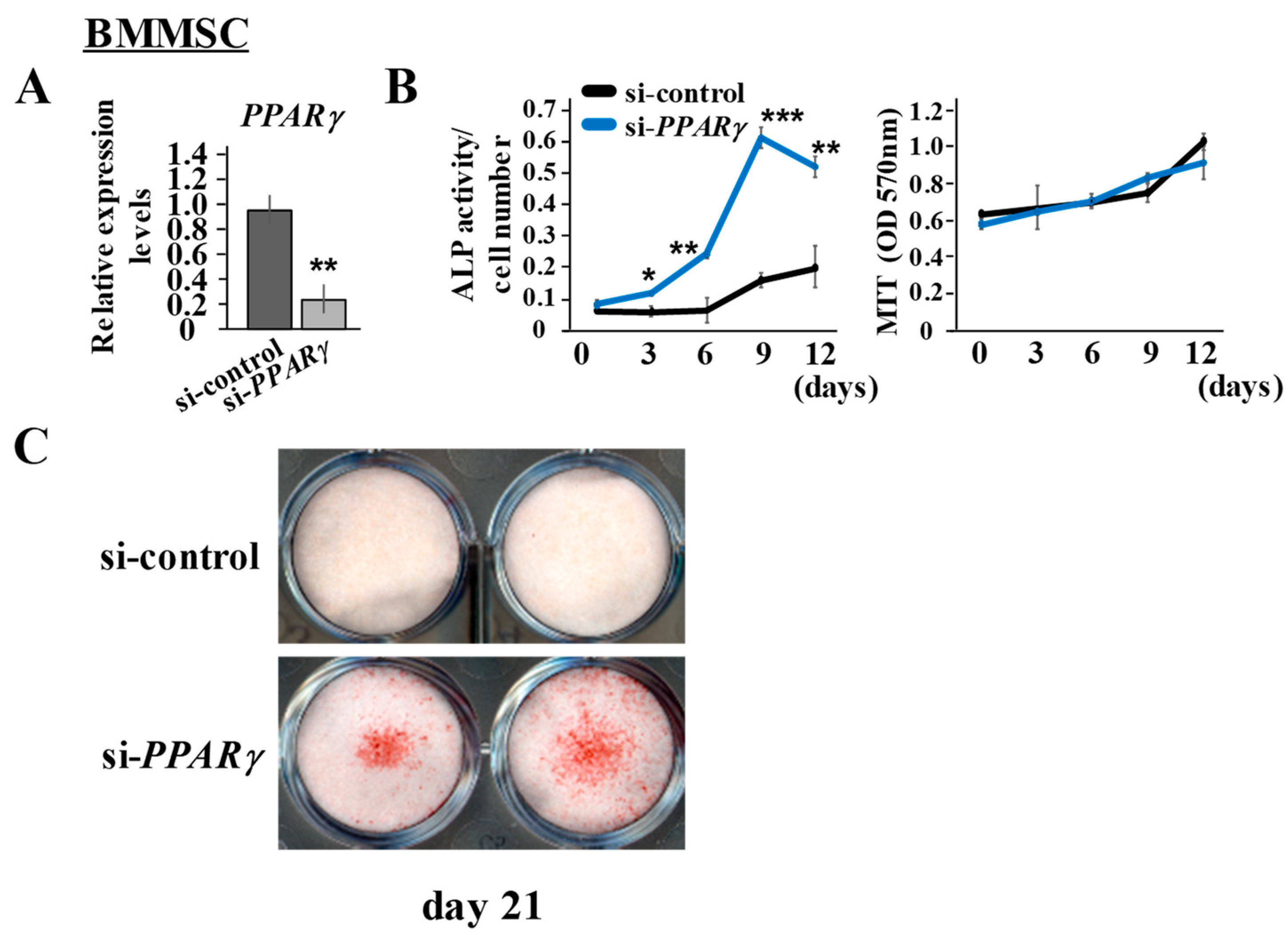 Ijms 22 08646 g0a2 Ijms 22 08646 g0a2