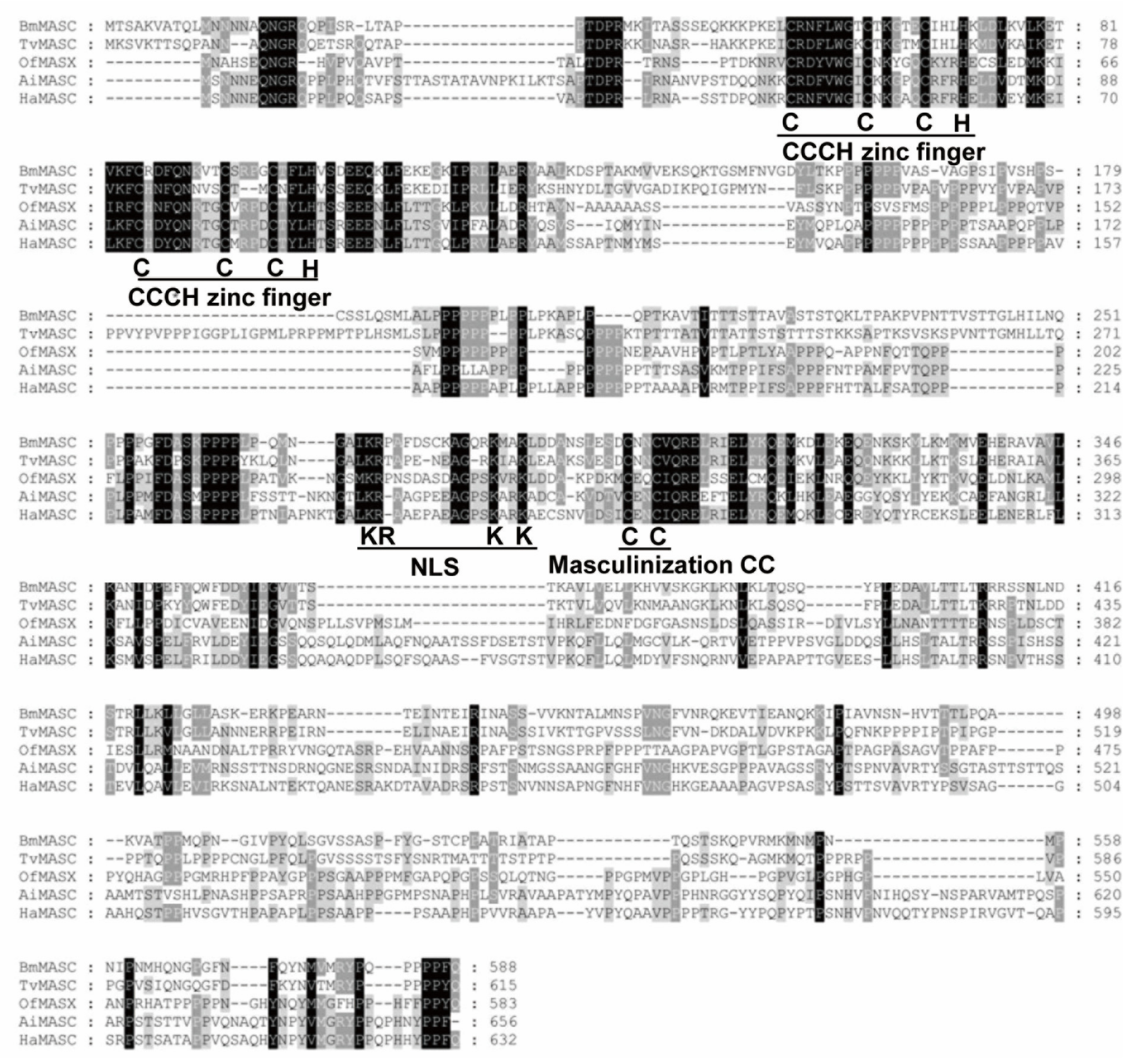 Ijms 22 08650 g002 550