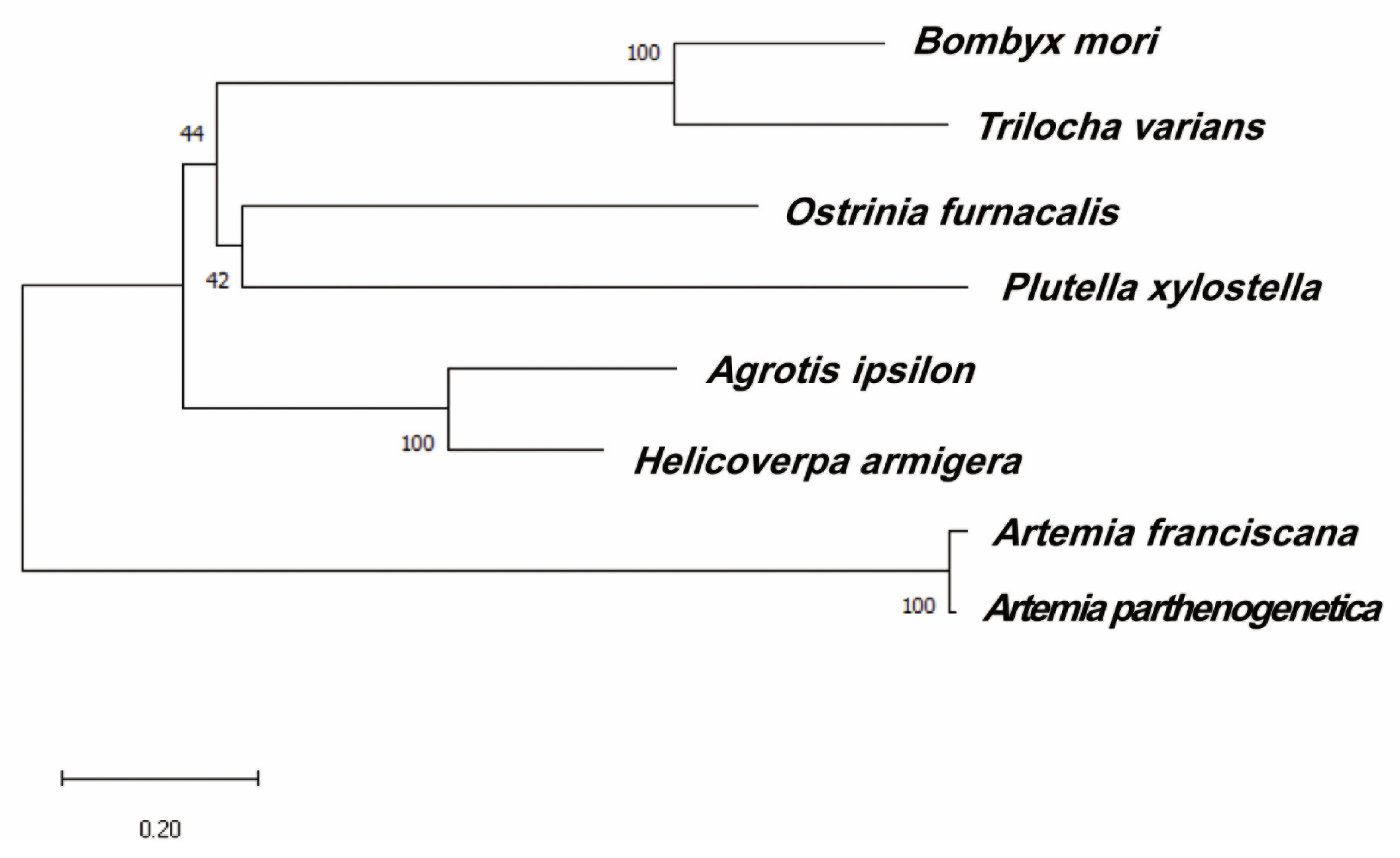 Ijms 22 08650 g003 550