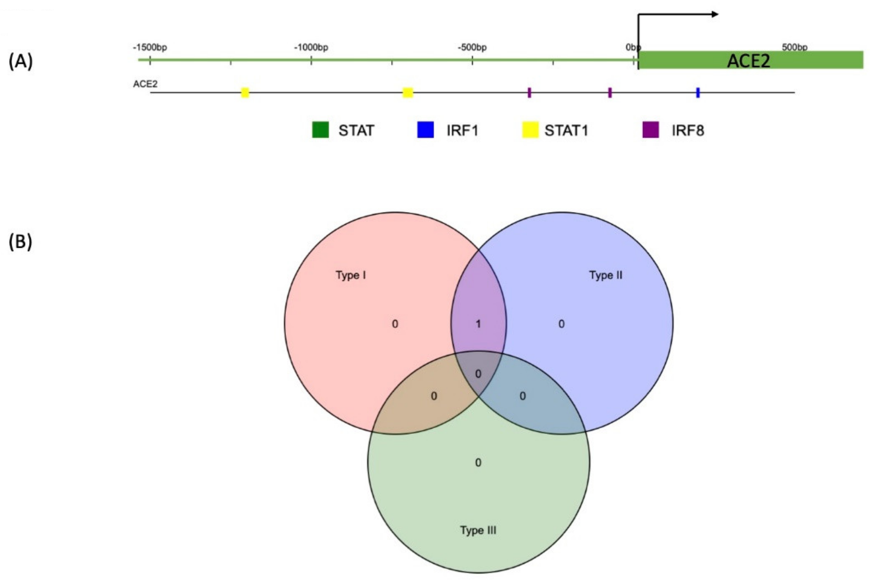Ijms 22 08660 g001 Ijms 22 08660 g001