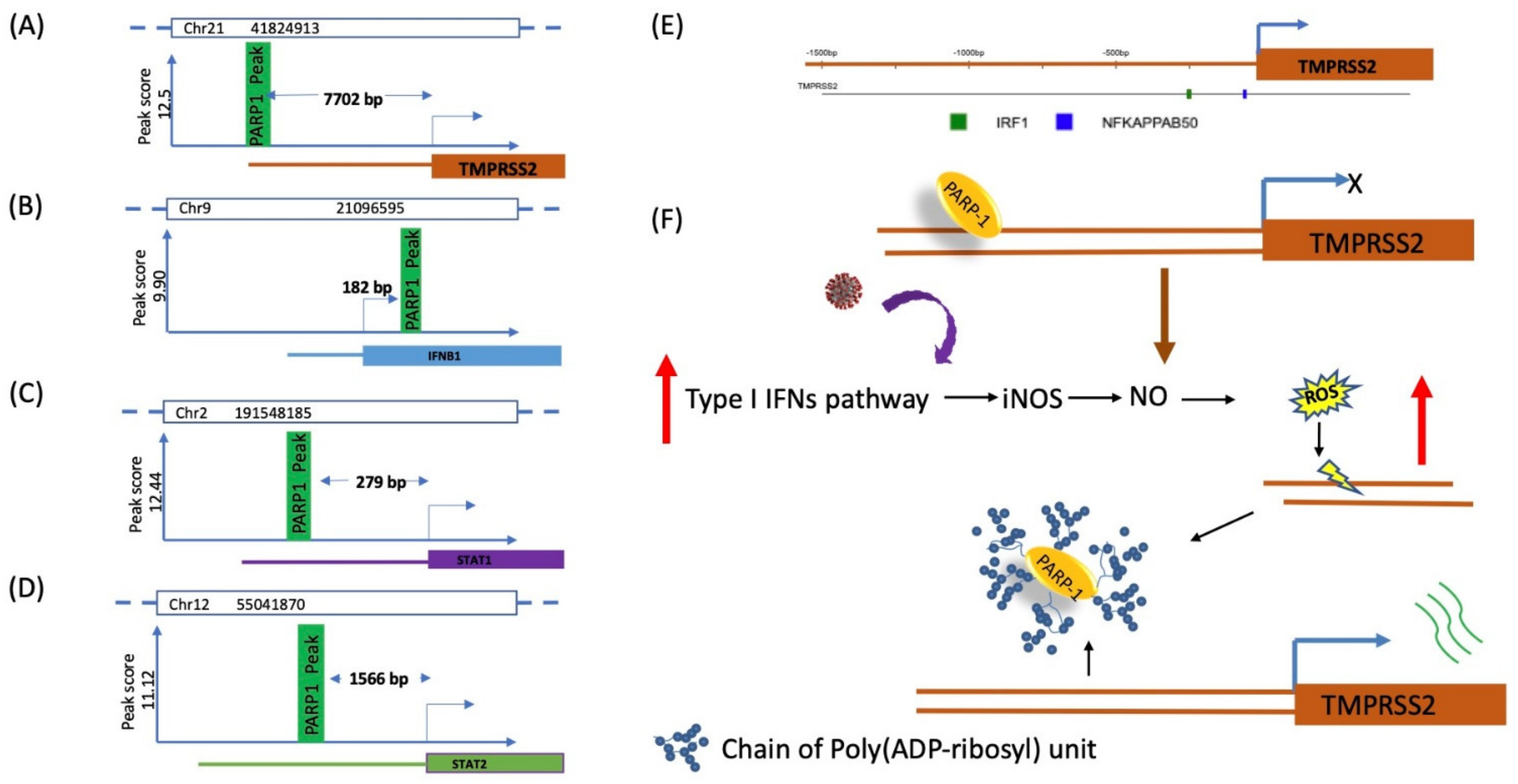 Ijms 22 08660 g002 Ijms 22 08660 g002