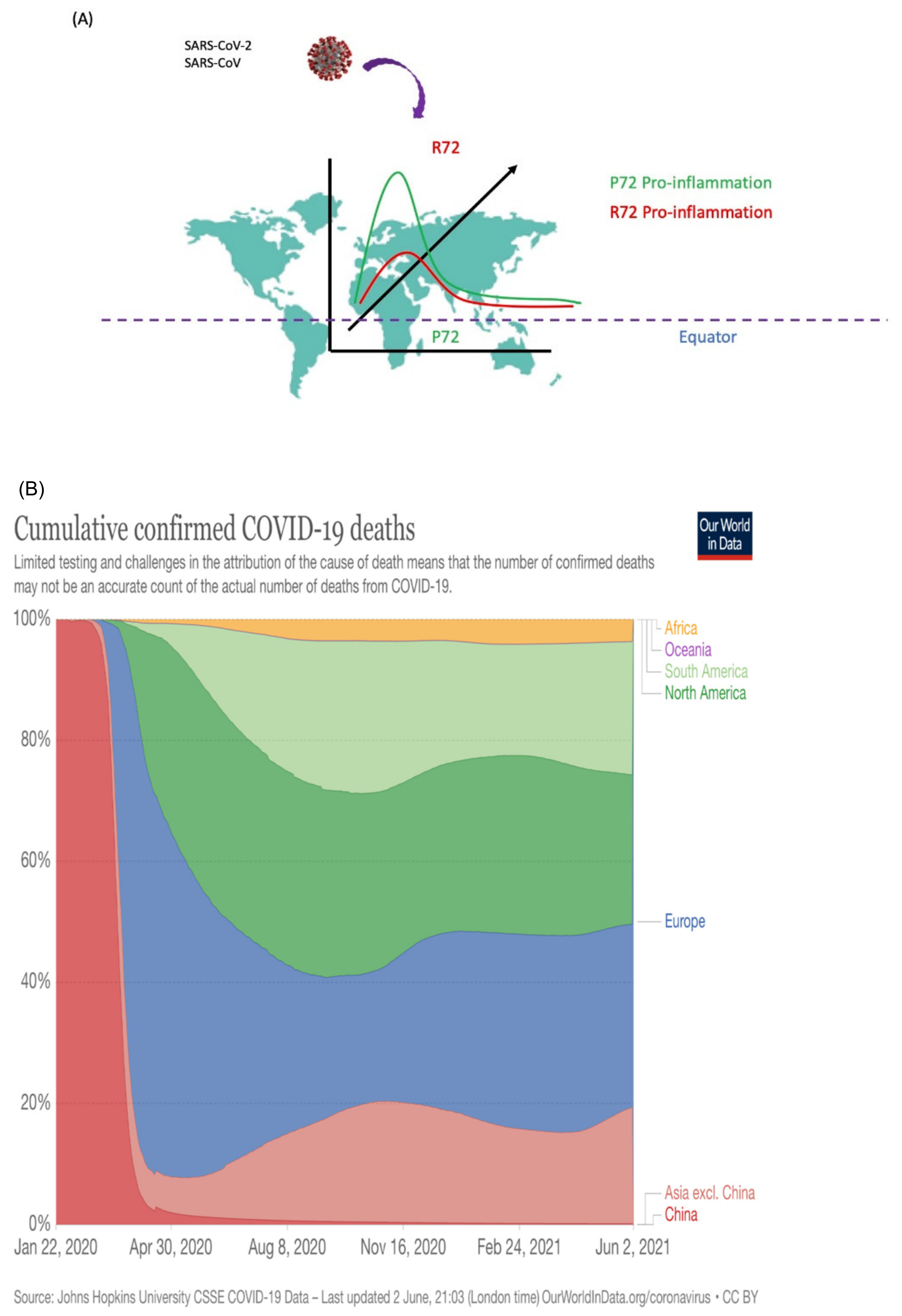 Ijms 22 08660 g004 Ijms 22 08660 g004