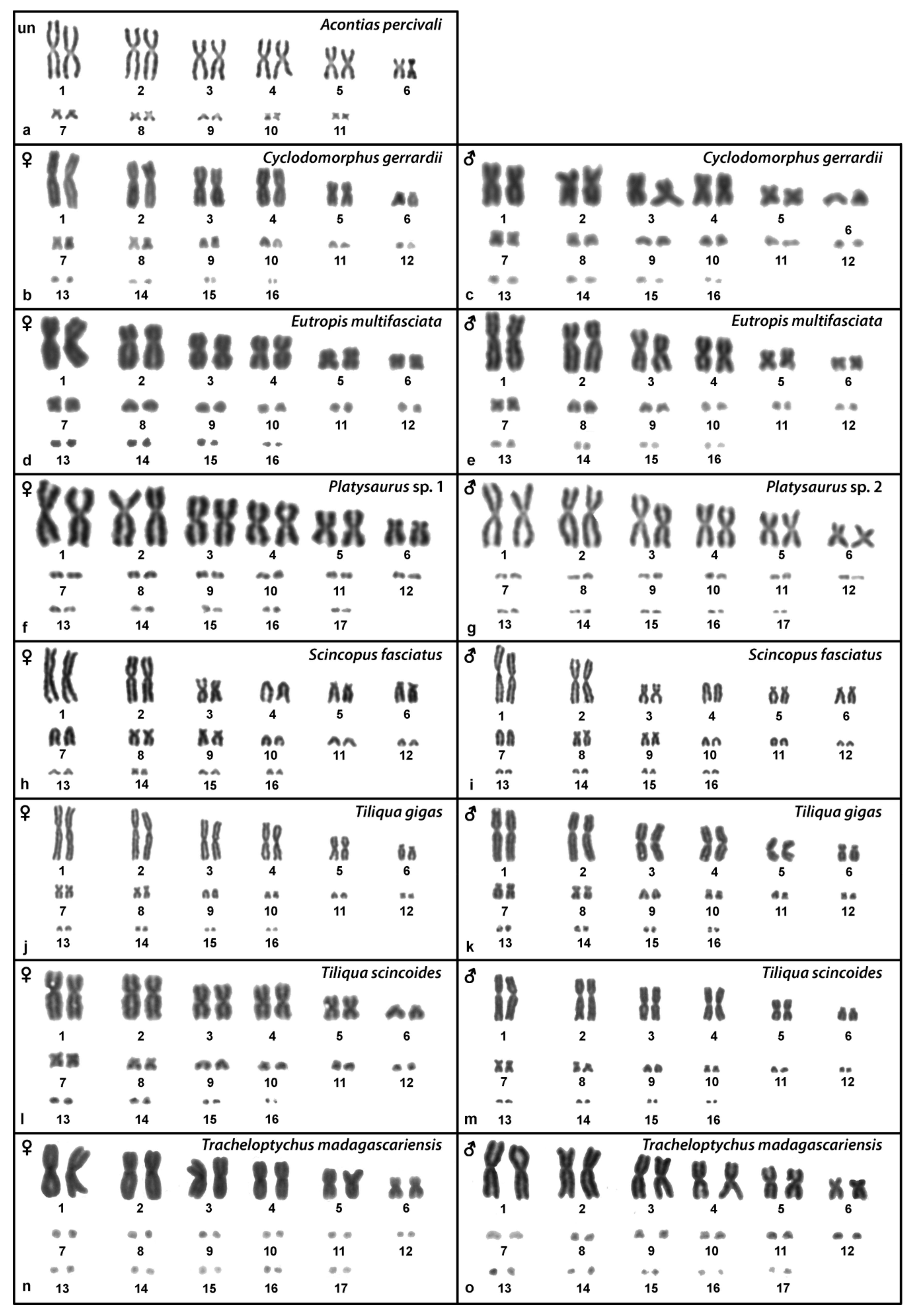 Ijms 22 08670 g001 Ijms 22 08670 g001