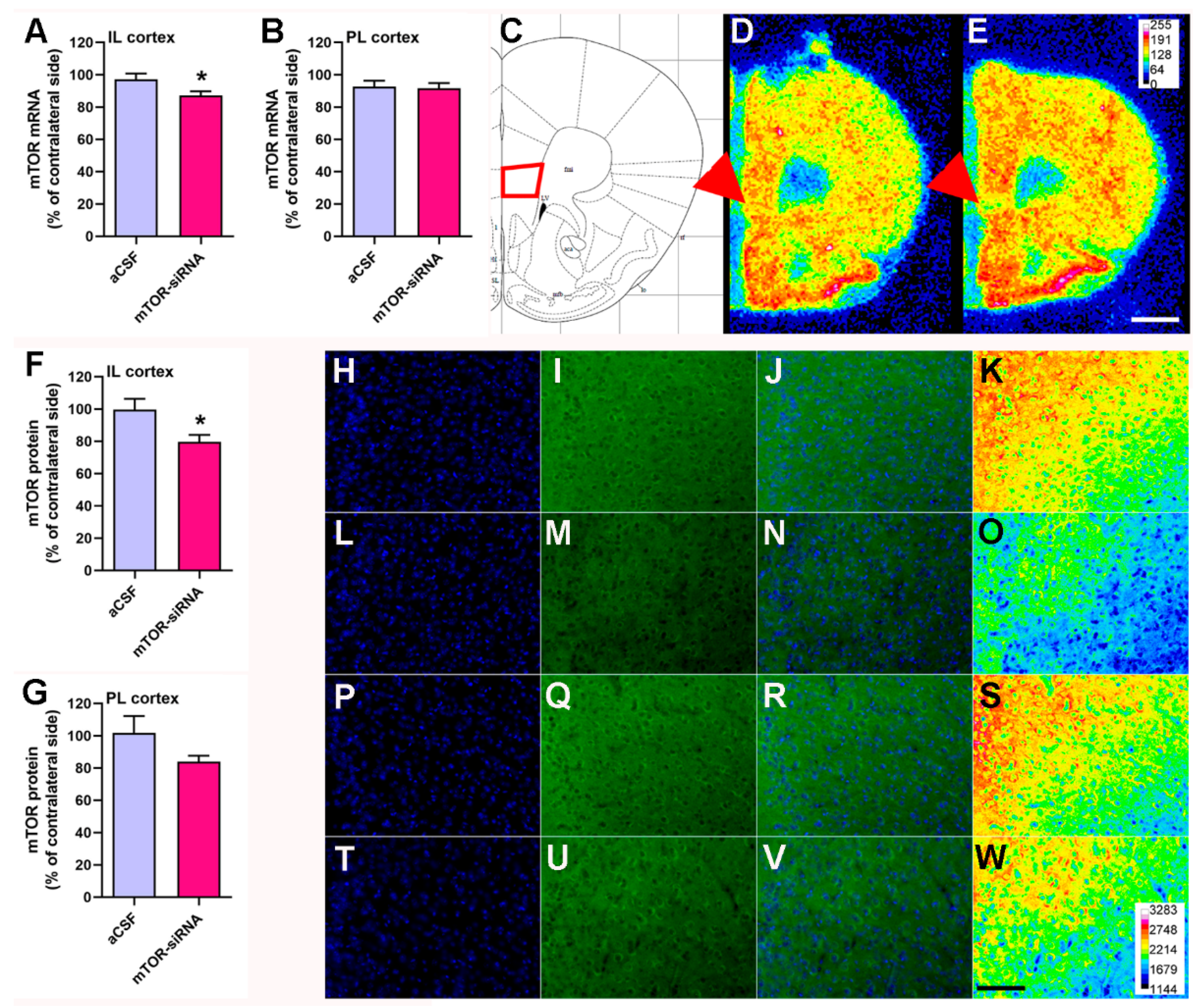 Ijms 22 08671 g002 Ijms 22 08671 g002