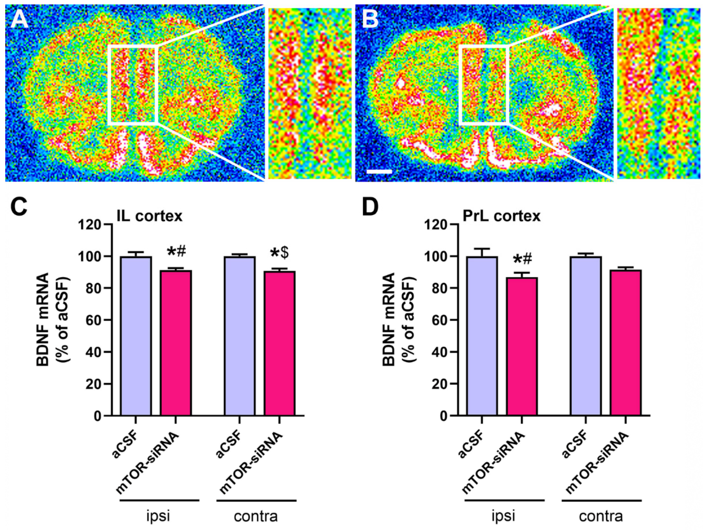 Ijms 22 08671 g003 Ijms 22 08671 g003