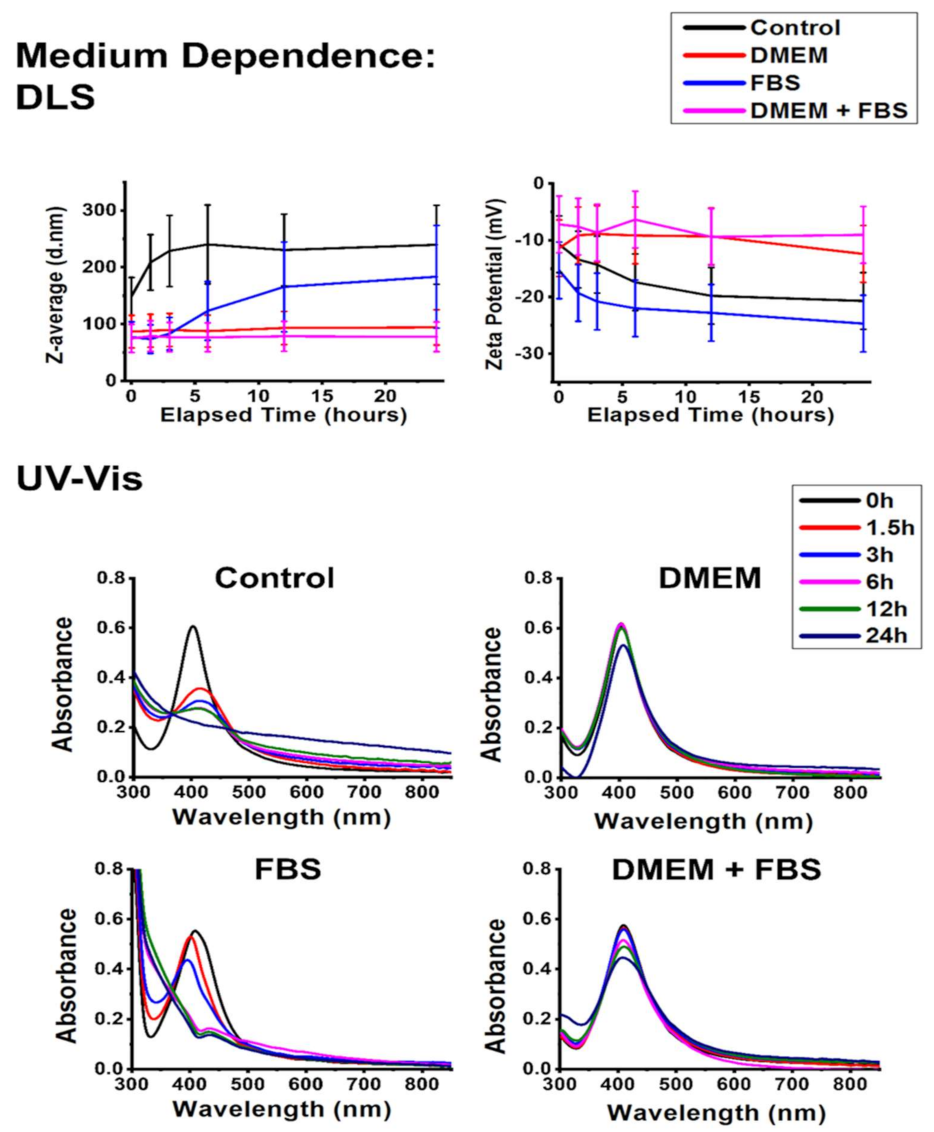 Ijms 22 08673 g007 550