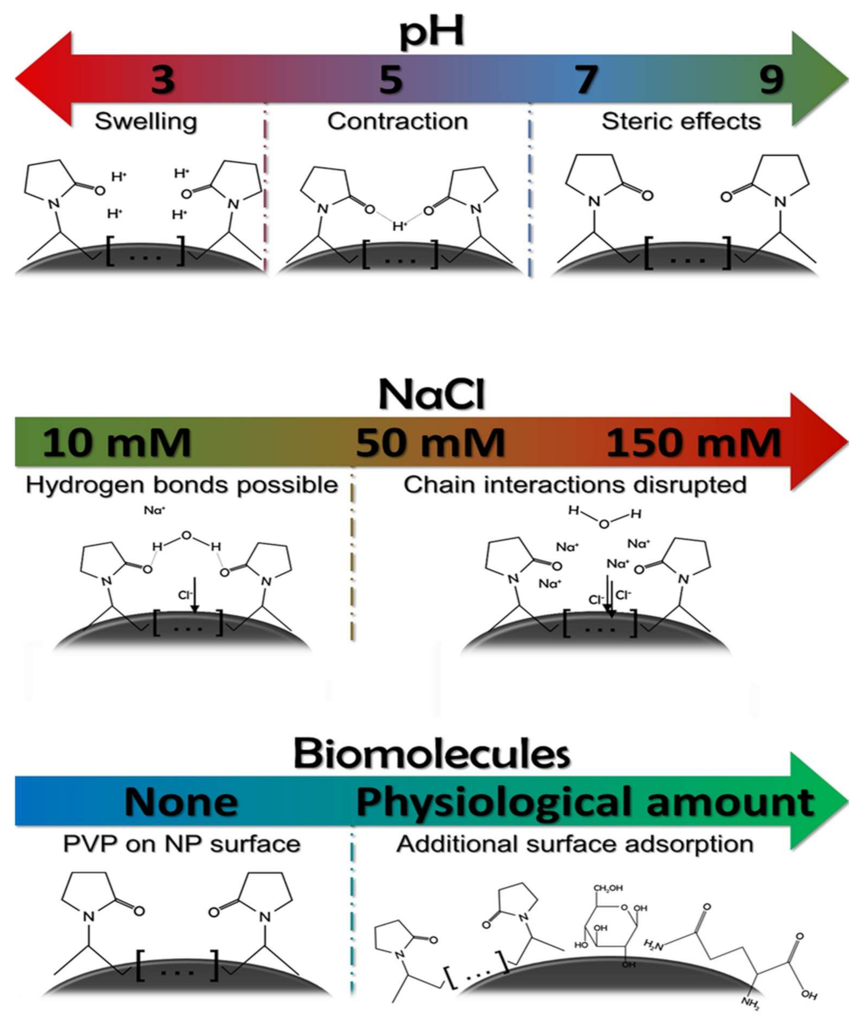 Ijms 22 08673 sch001 550