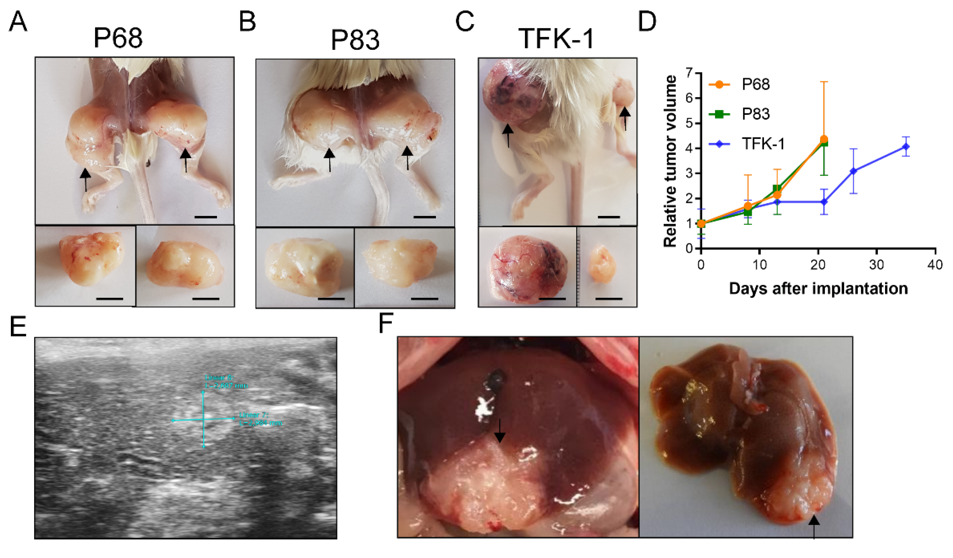 Ijms 22 08675 g002 Ijms 22 08675 g002