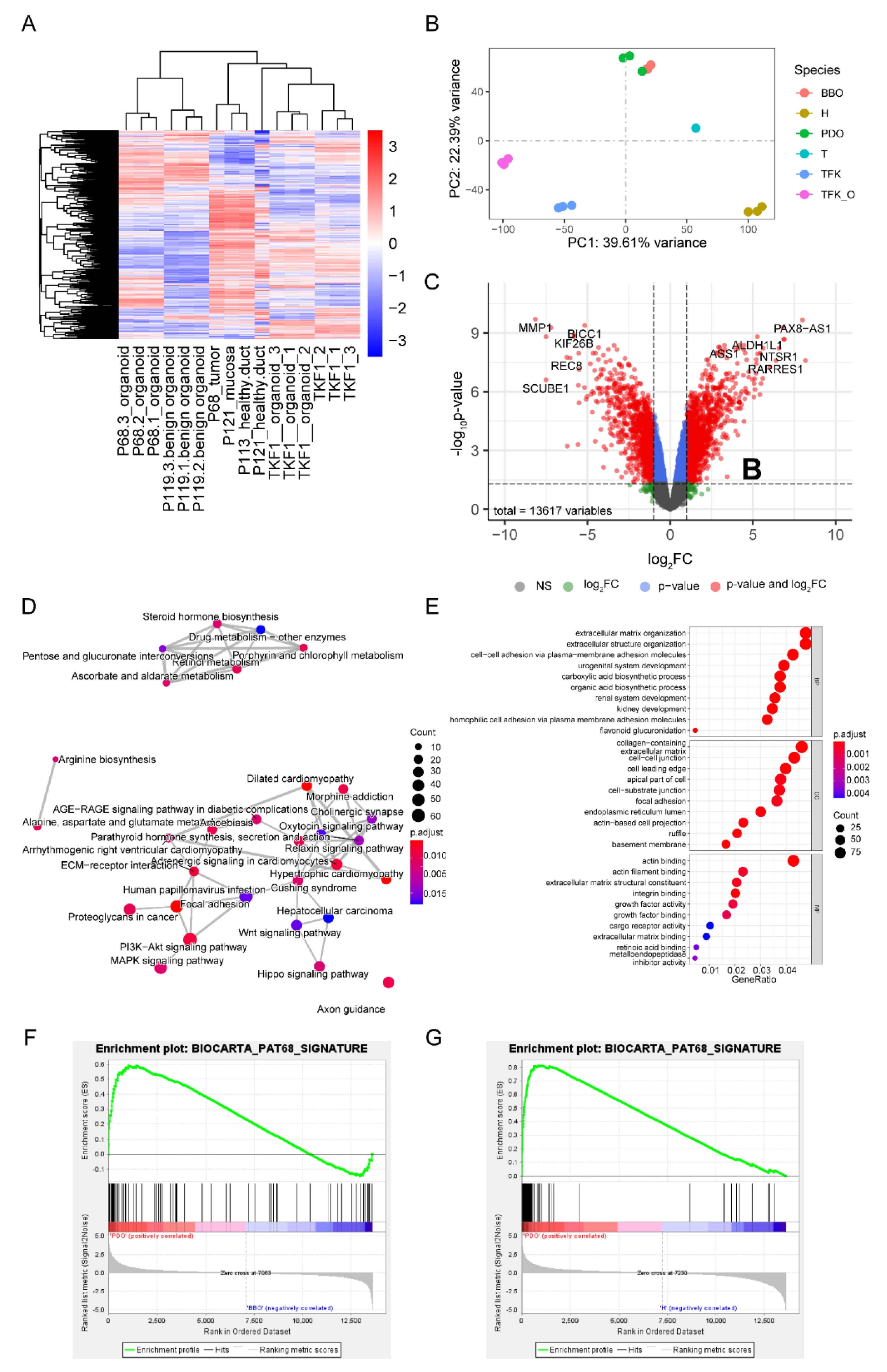 Ijms 22 08675 g005 Ijms 22 08675 g005