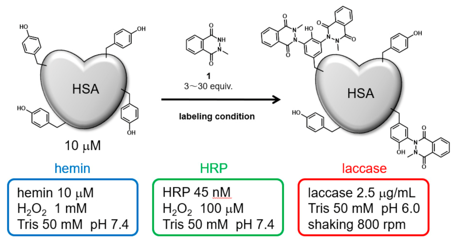 Ijms 22 08676 g001 550