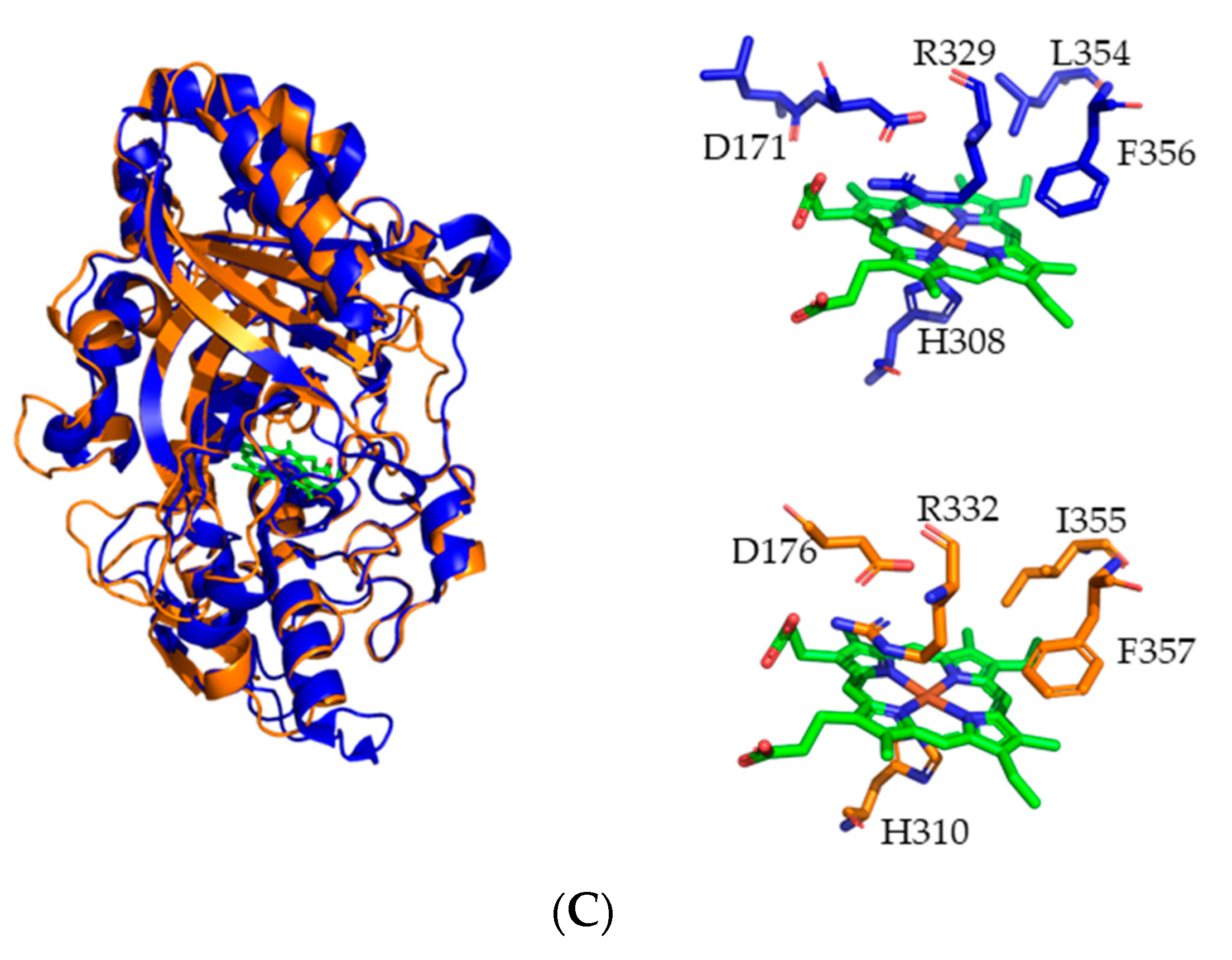 Ijms 22 08683 g001b 550