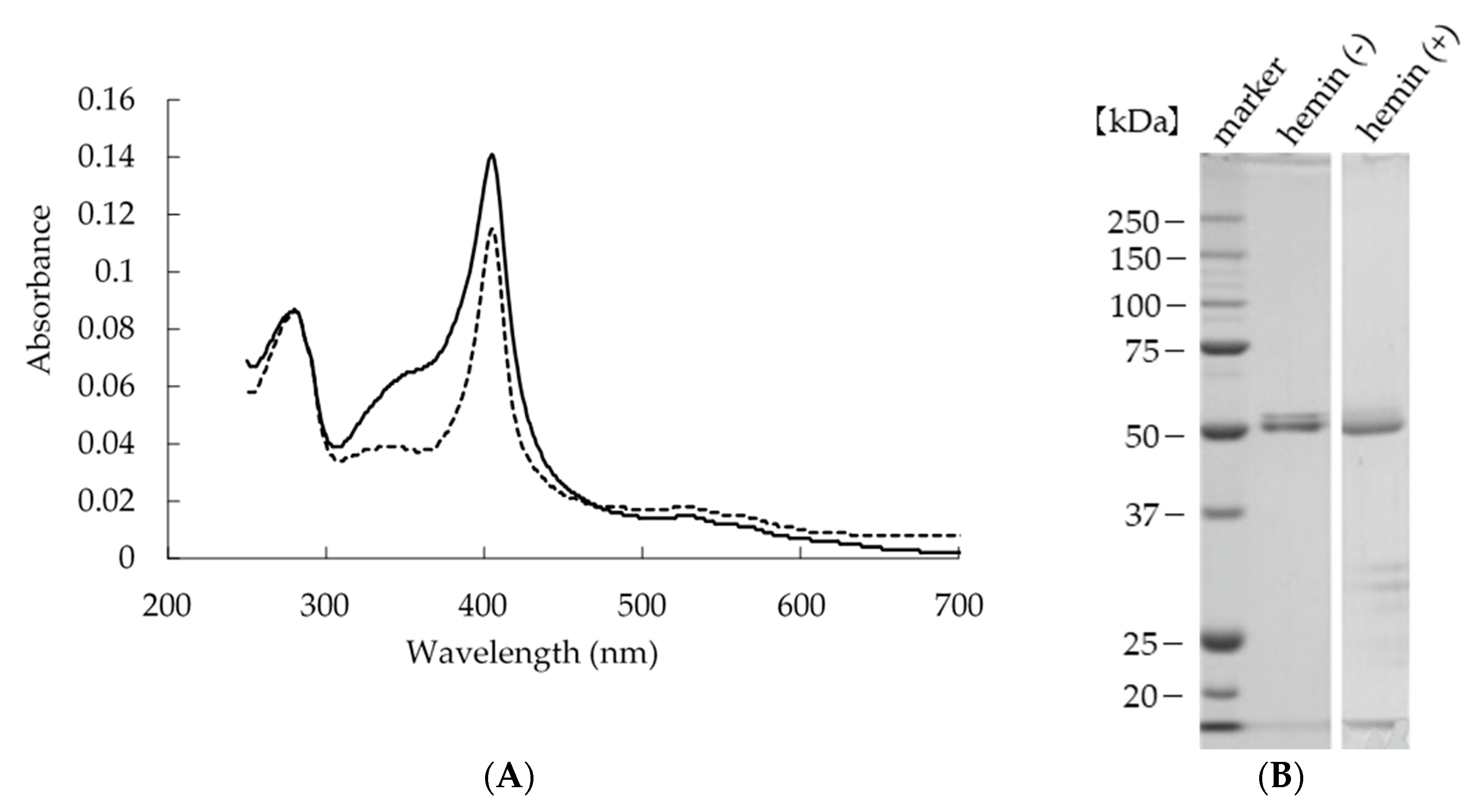 Ijms 22 08683 g002 550