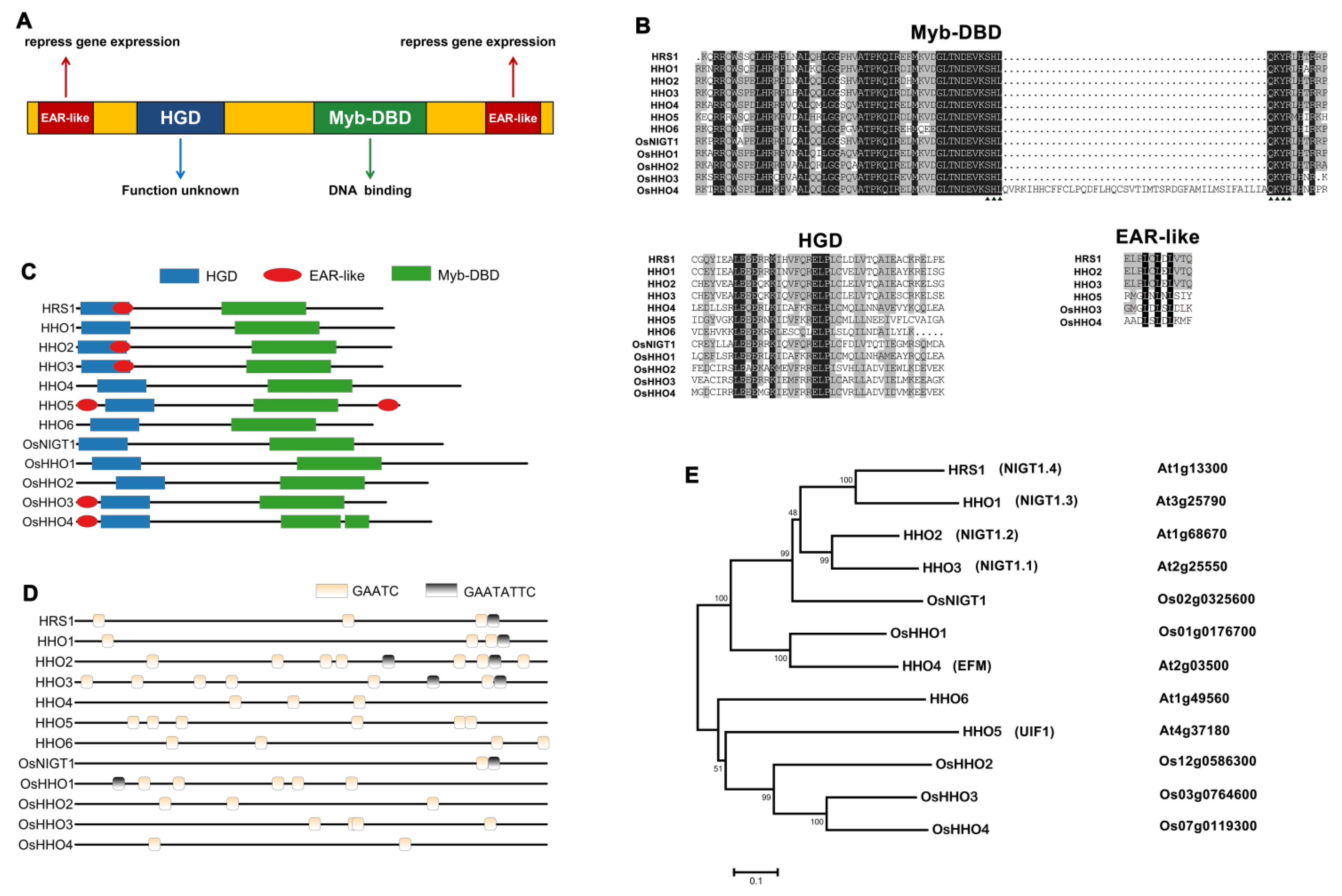 Ijms 22 08685 g001 550