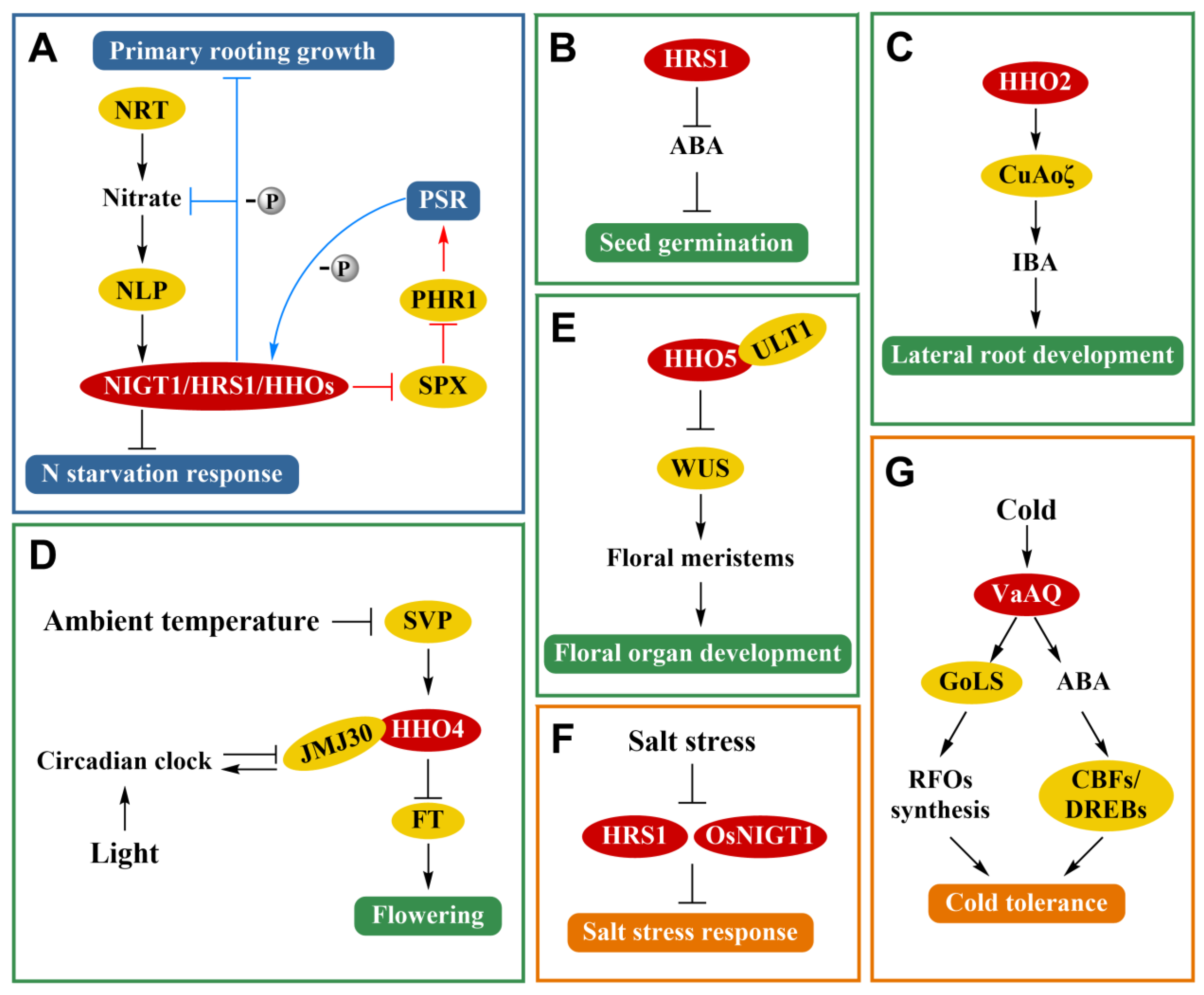 Ijms 22 08685 g002 550