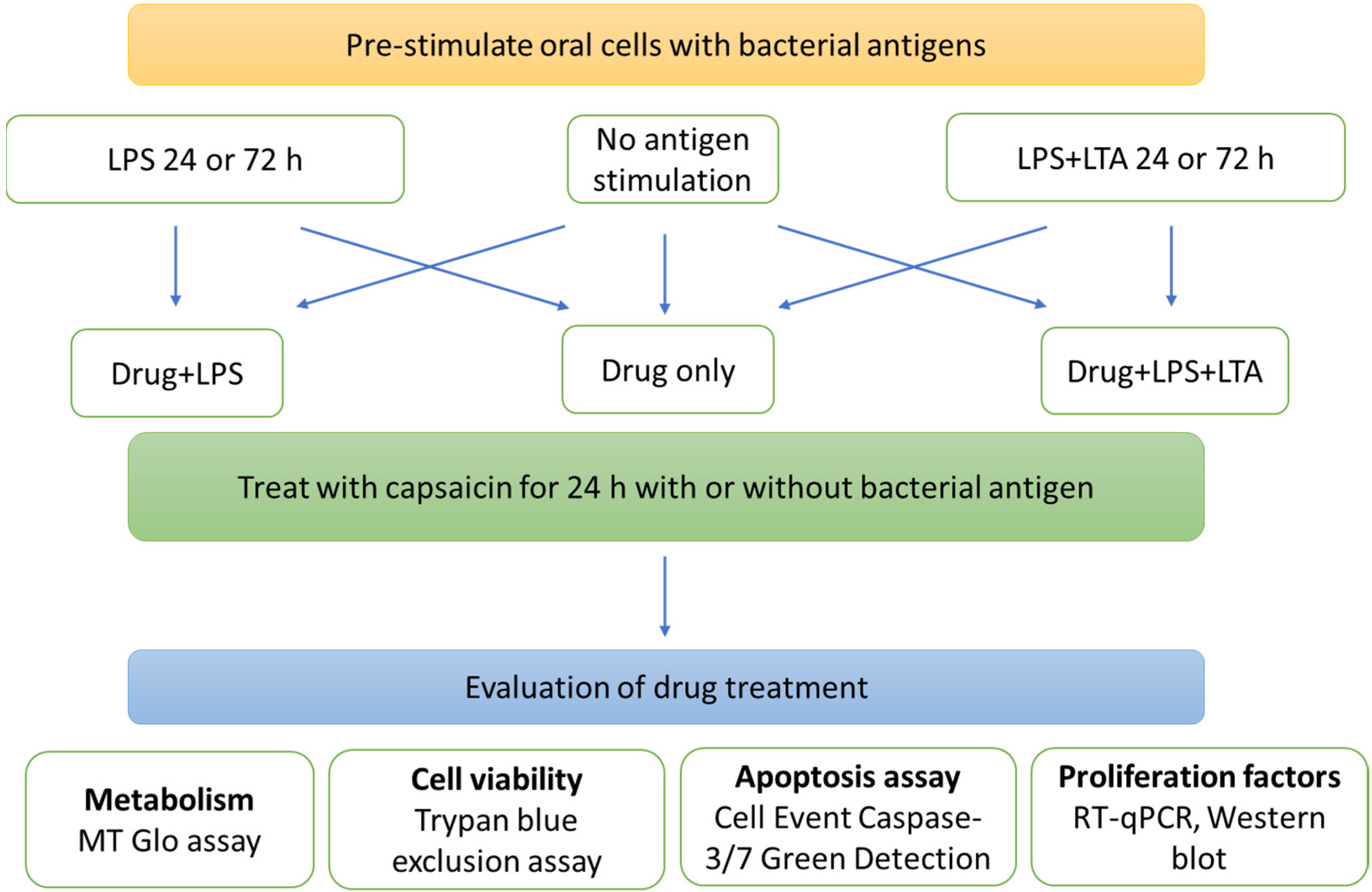 Ijms 22 08686 g008 550