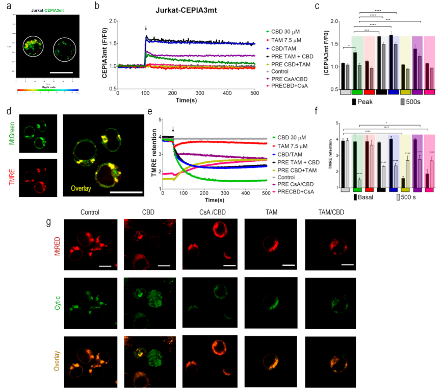 Ijms 22 08688 g002 Ijms 22 08688 g002