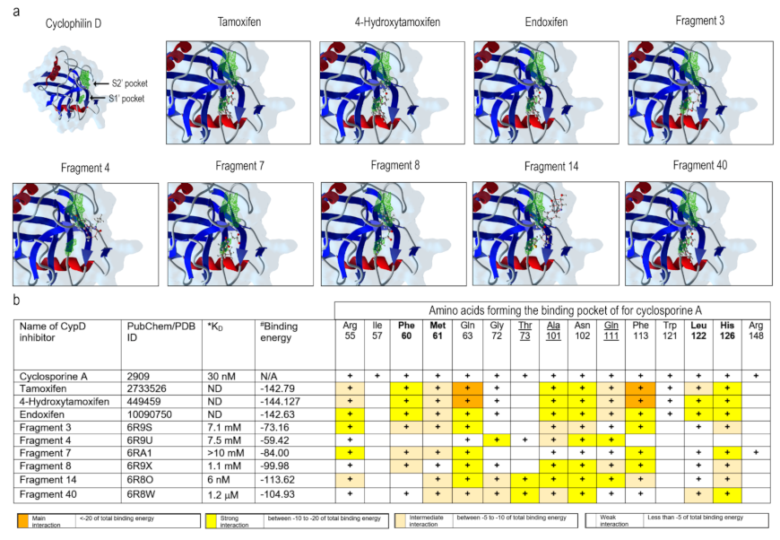 Ijms 22 08688 g003 Ijms 22 08688 g003