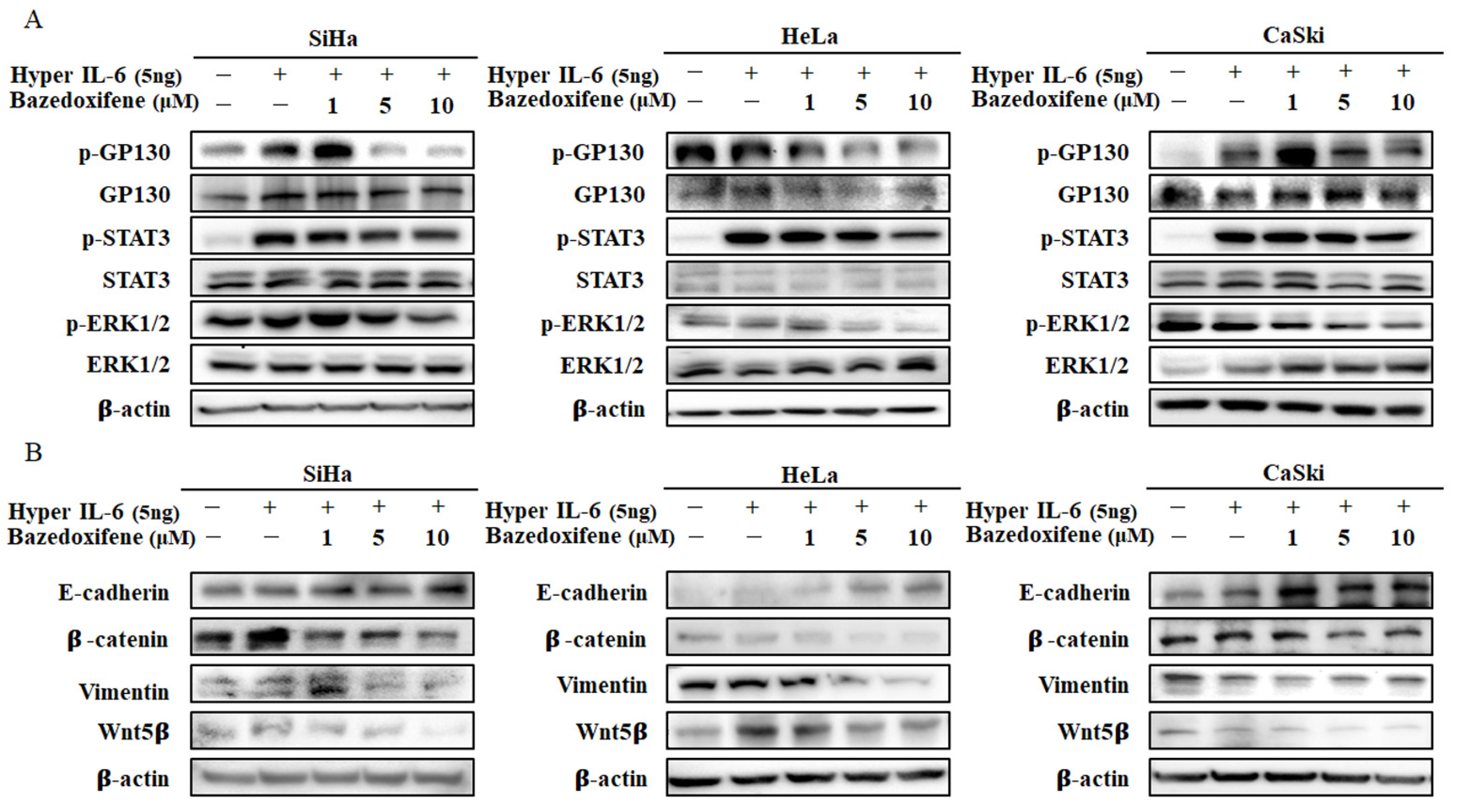 Ijms 22 08693 g005 550