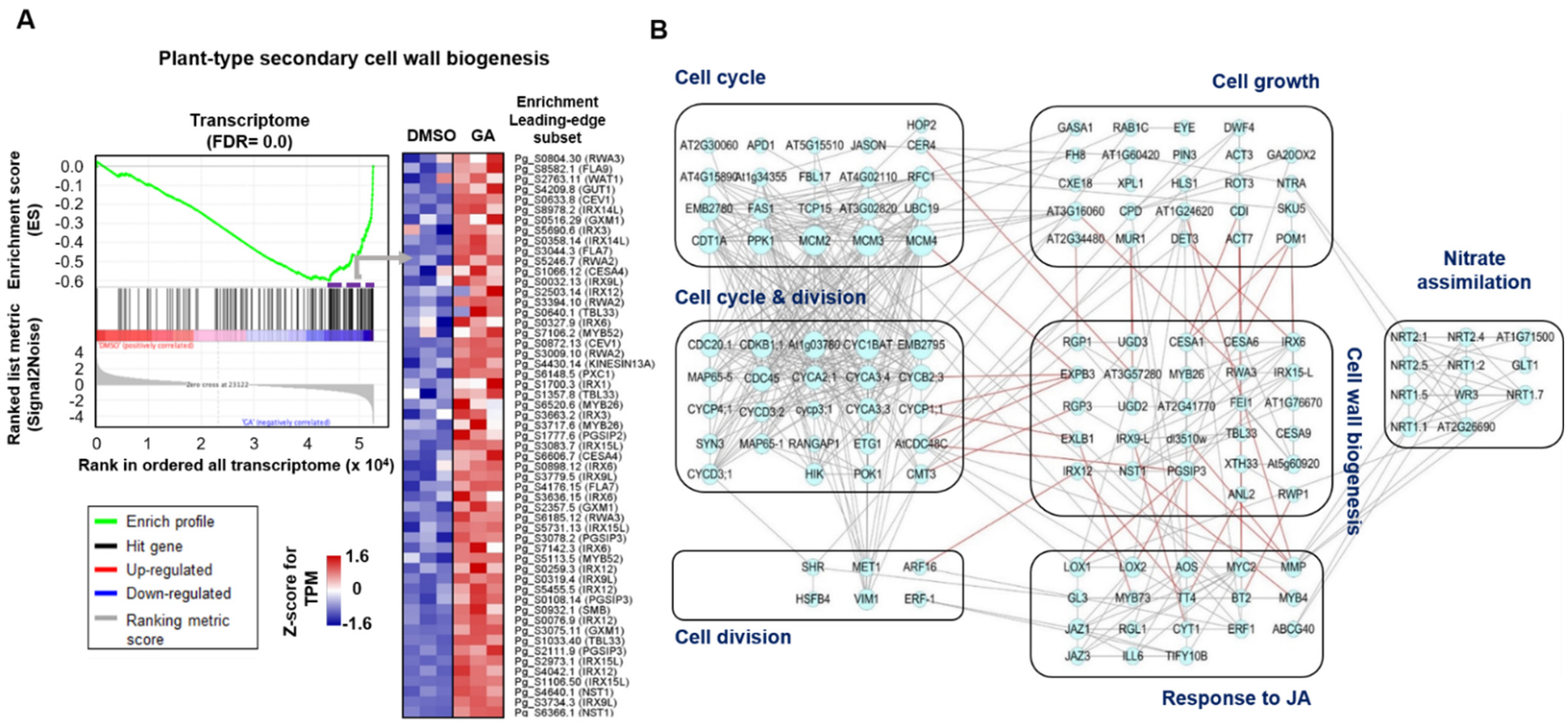 Ijms 22 08694 g005 550