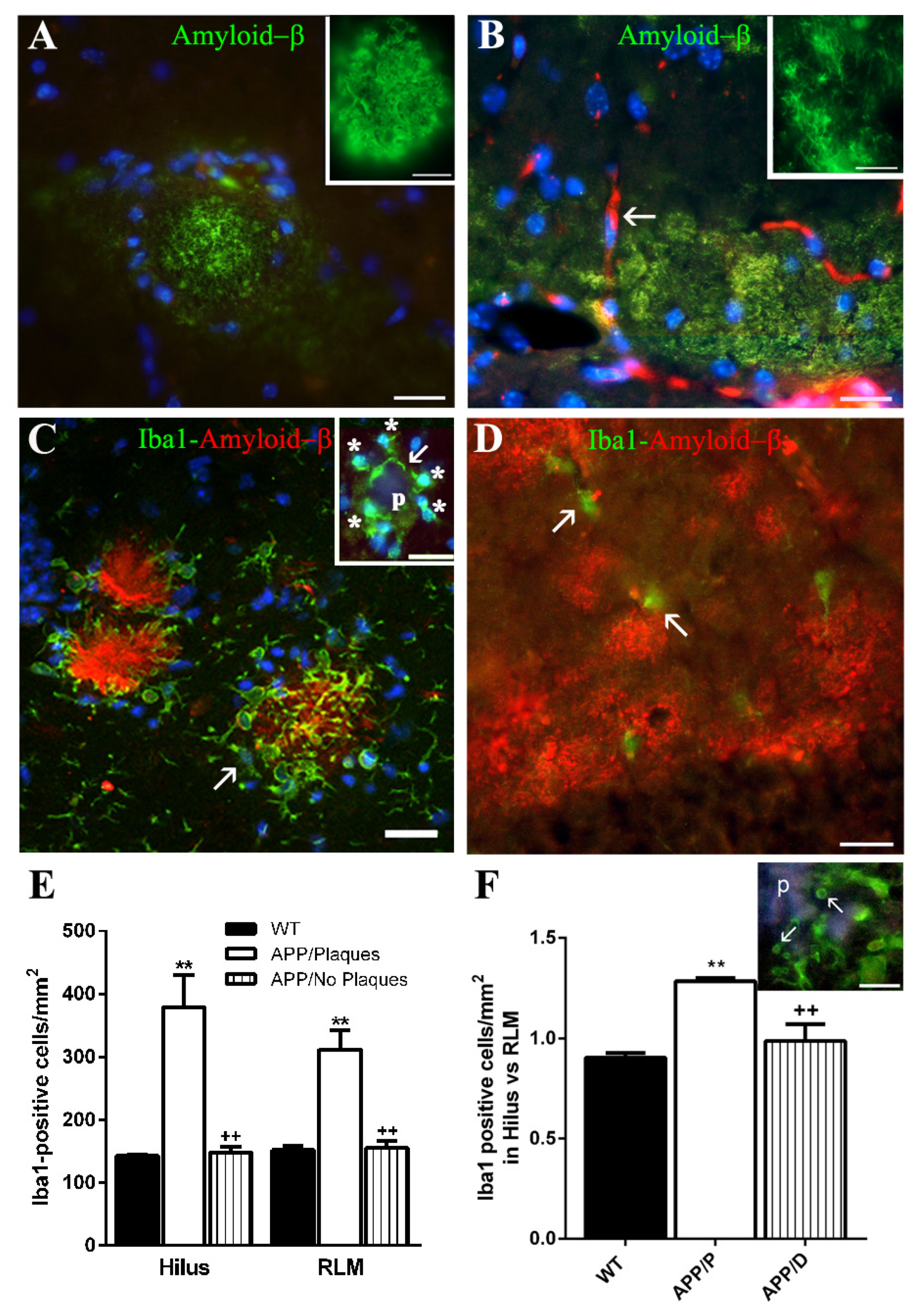 Ijms 22 08697 g001 550