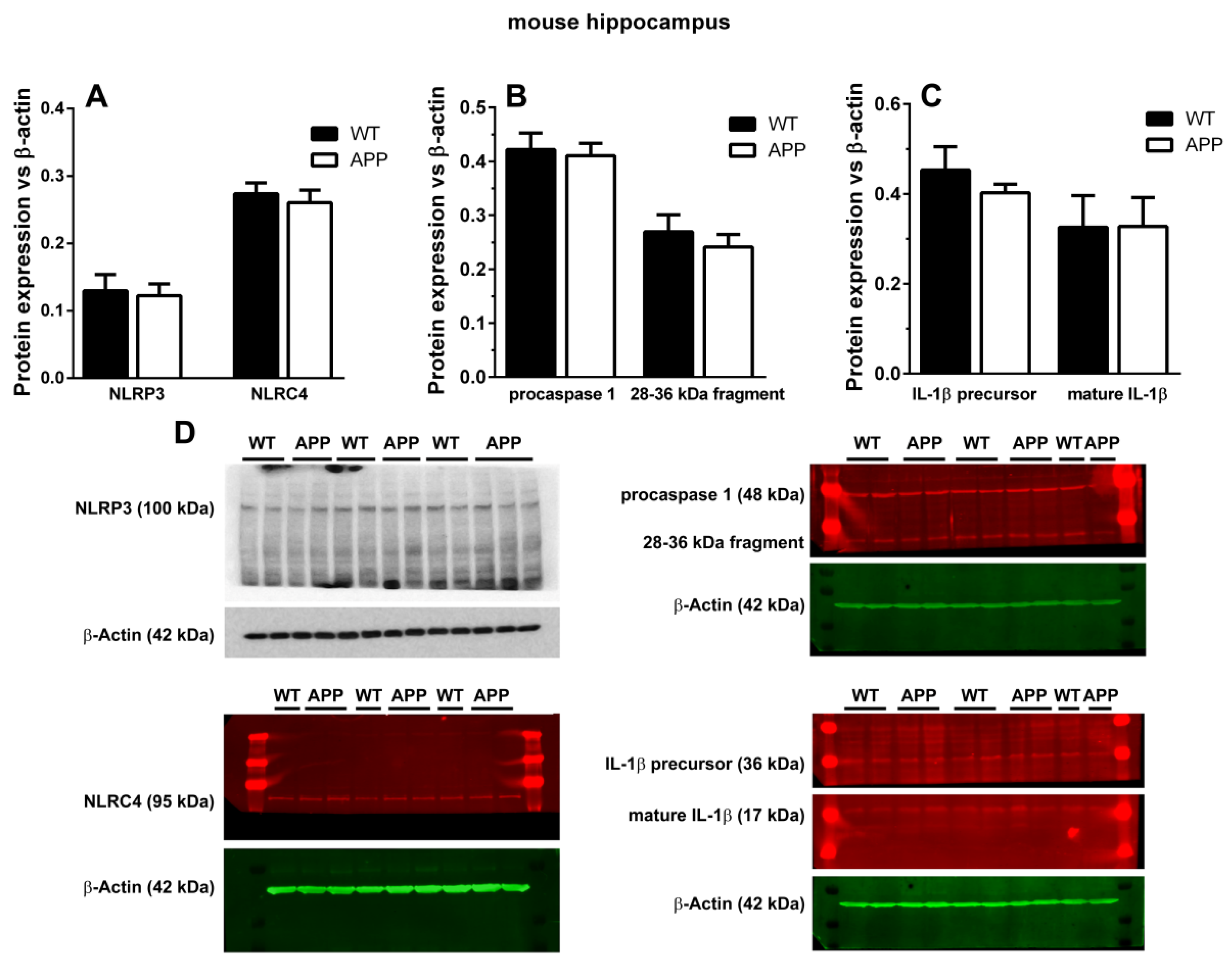 Ijms 22 08697 g003 550
