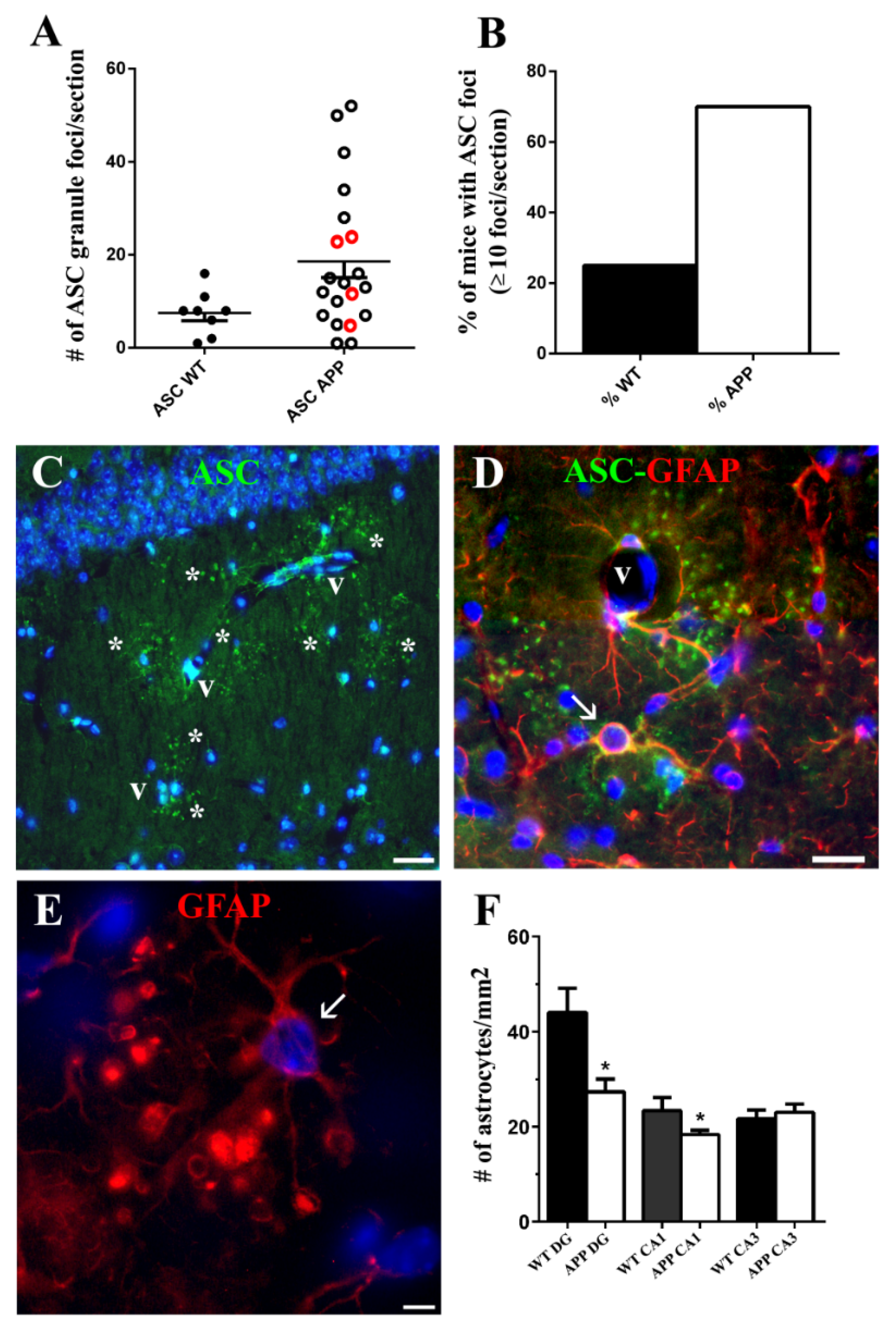 Ijms 22 08697 g005 550