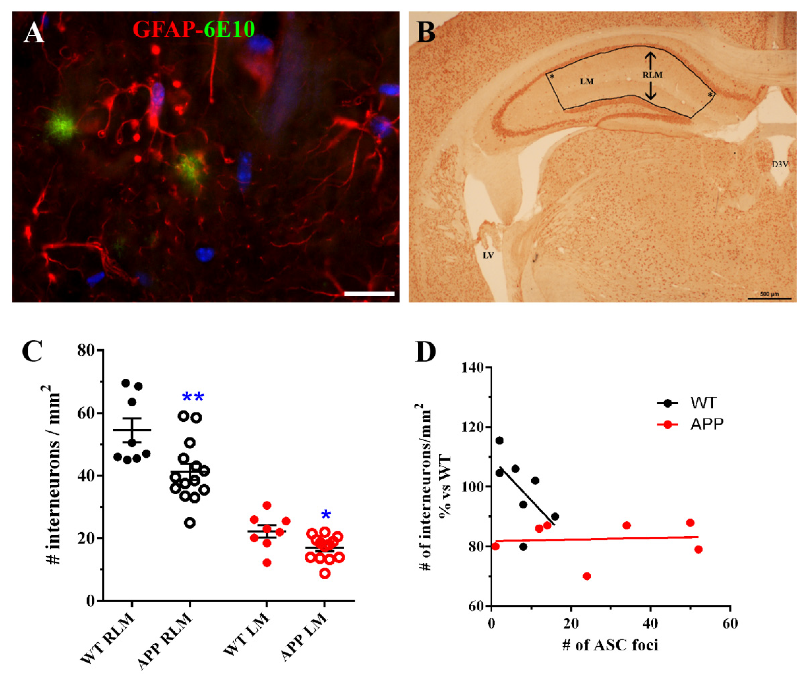 Ijms 22 08697 g006 550