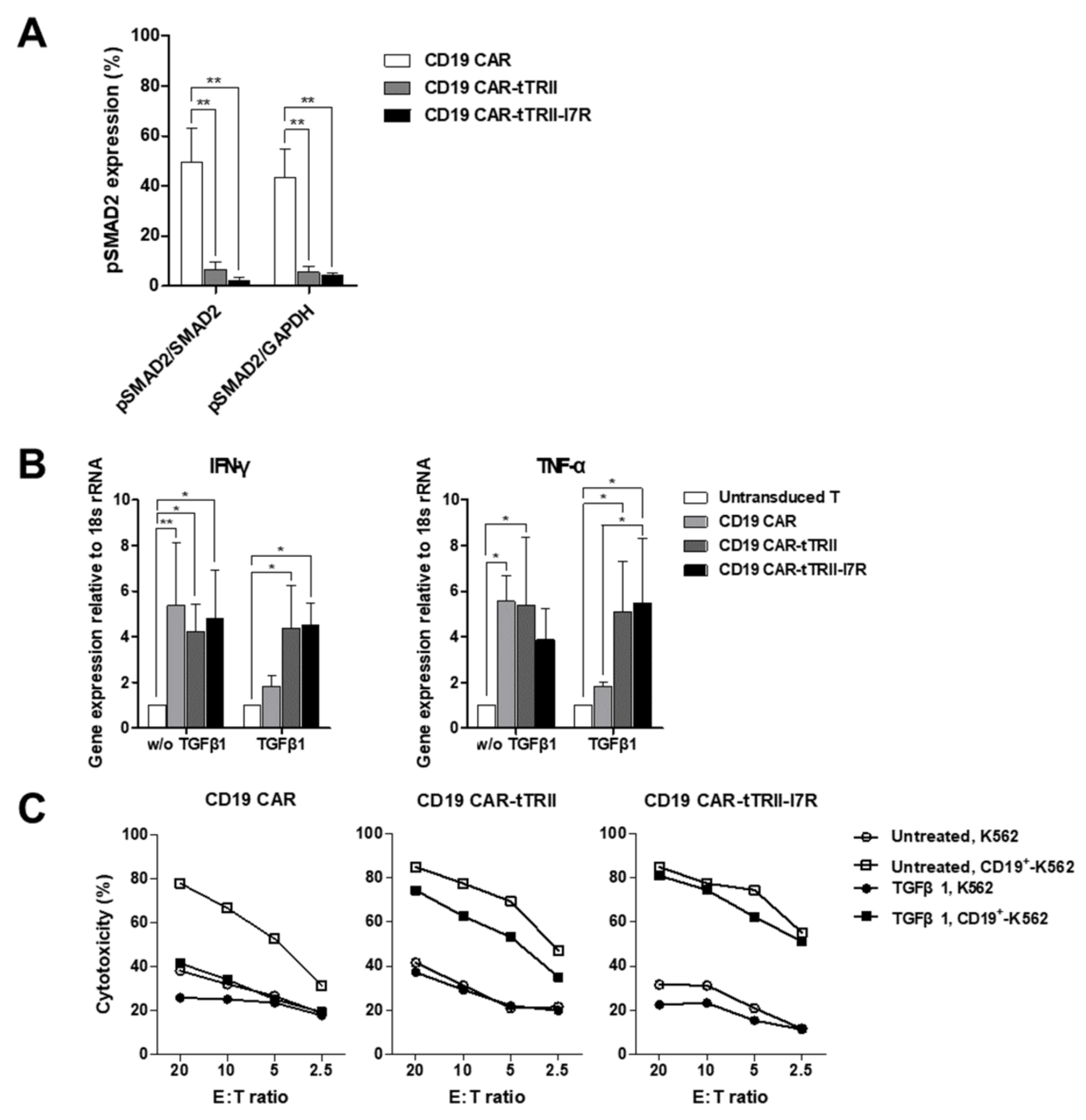 Ijms 22 08706 g003 Ijms 22 08706 g003