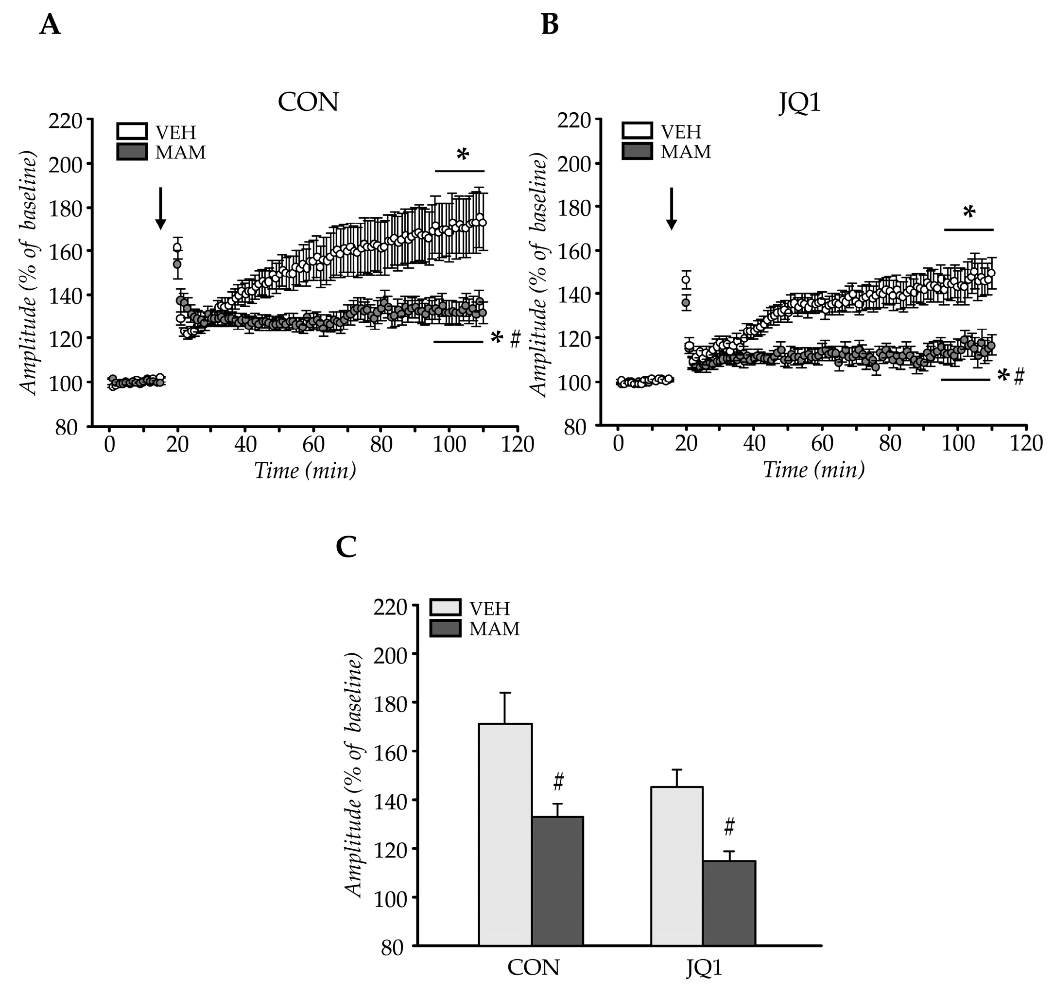 Ijms 22 08710 g003 550