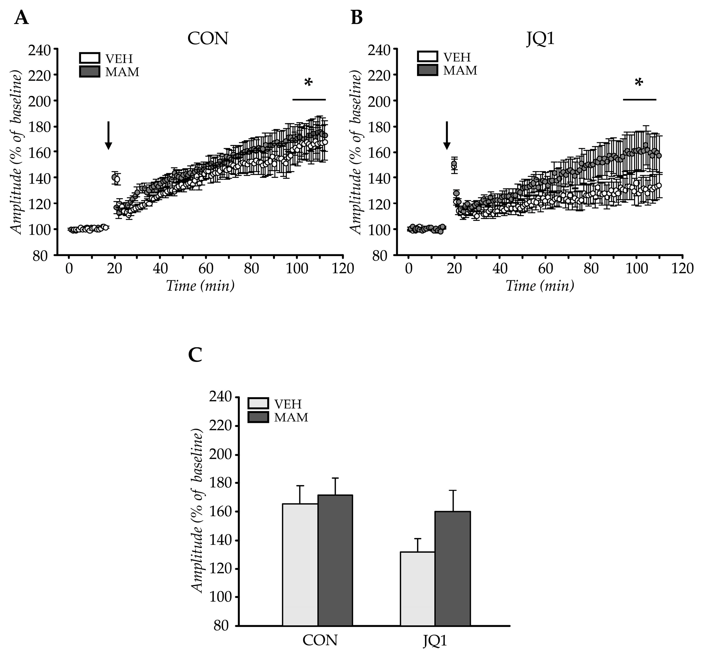 Ijms 22 08710 g004 550