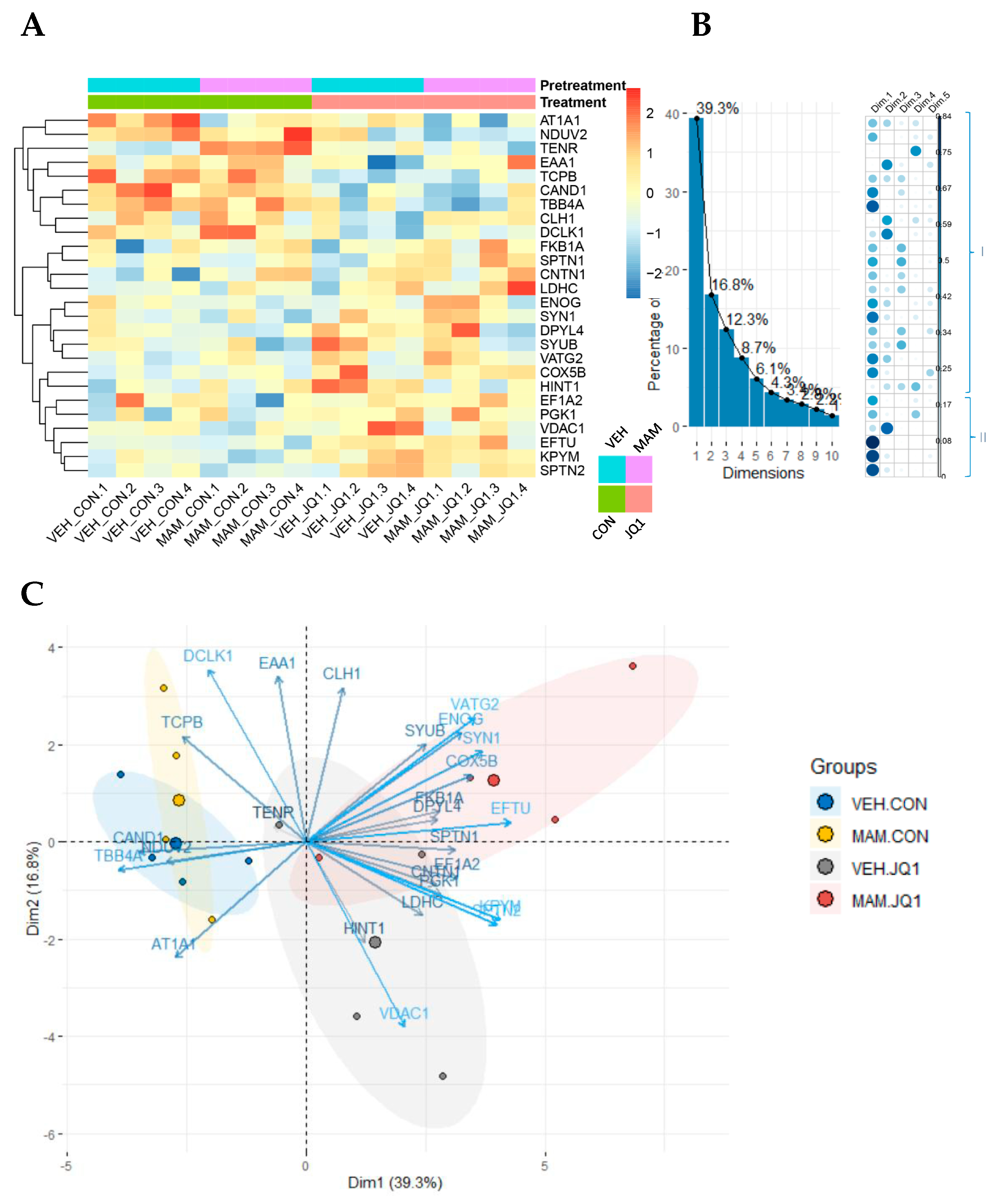 Ijms 22 08710 g010 550