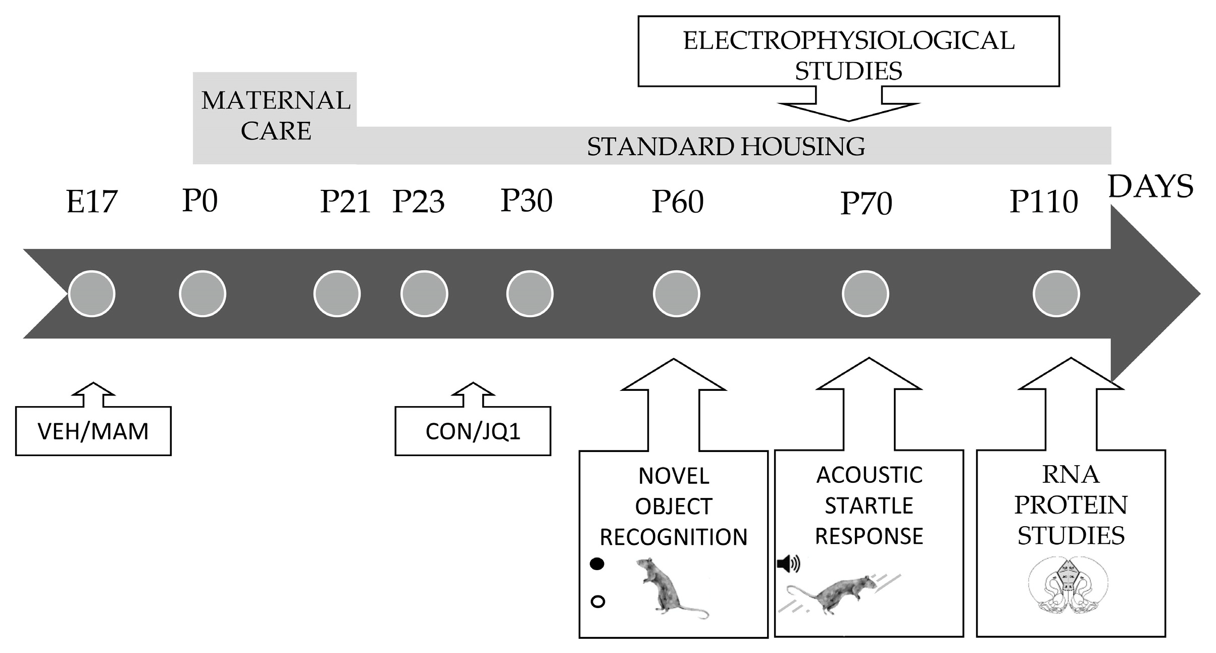 Ijms 22 08710 g011 550